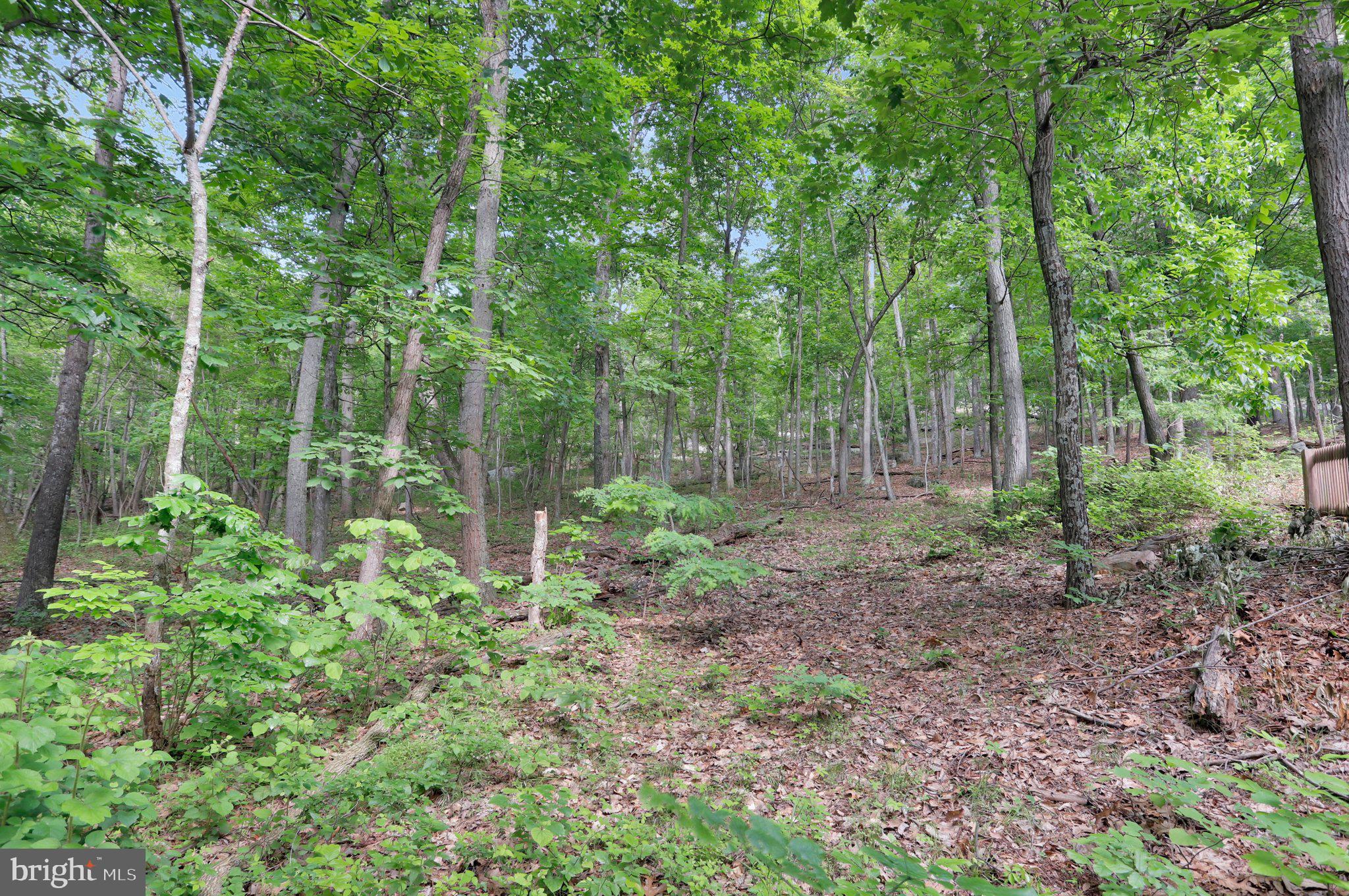 COOLFONT MOUNTAINSIDE - Residential