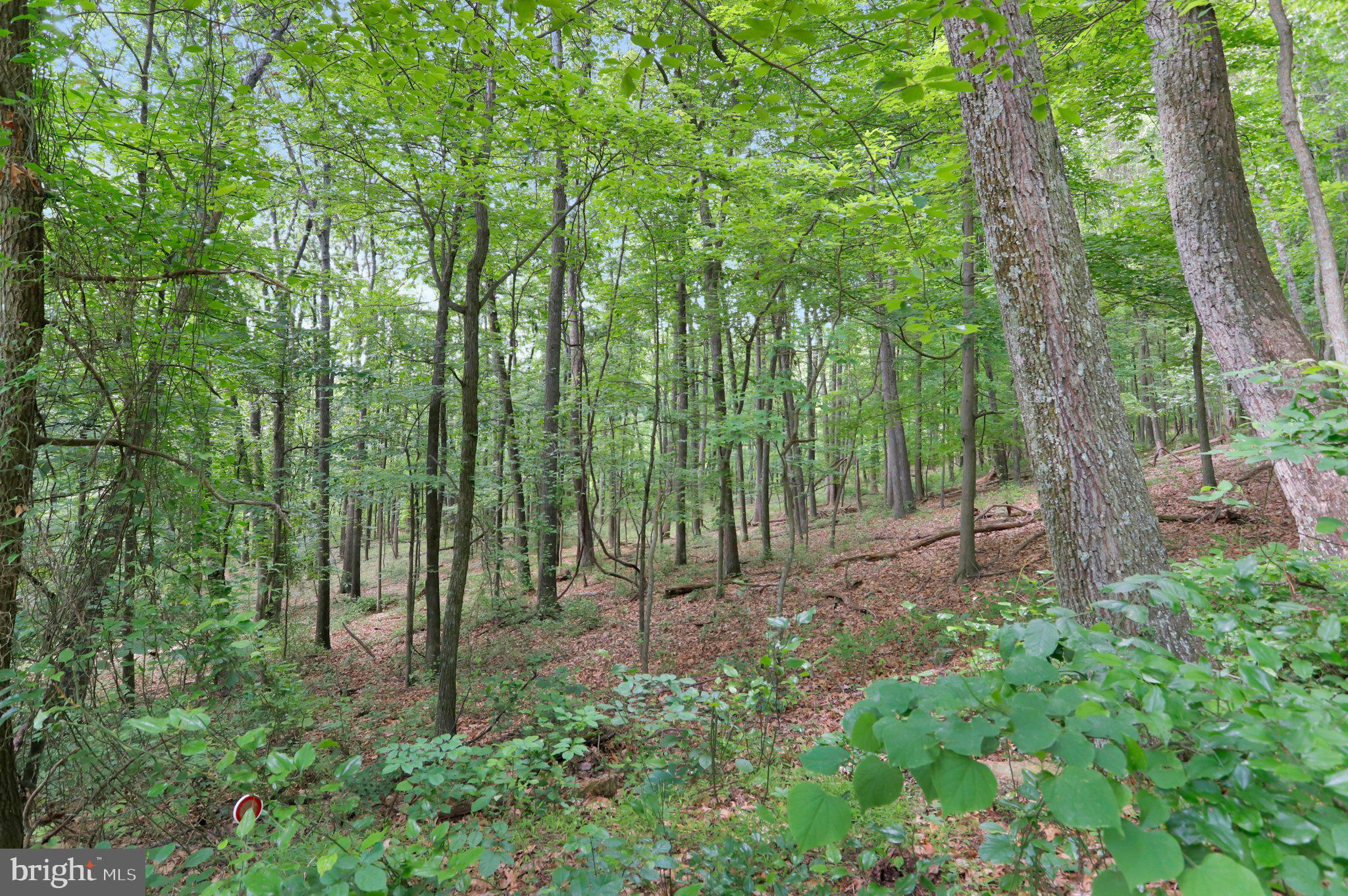 COOLFONT MOUNTAINSIDE - Residential