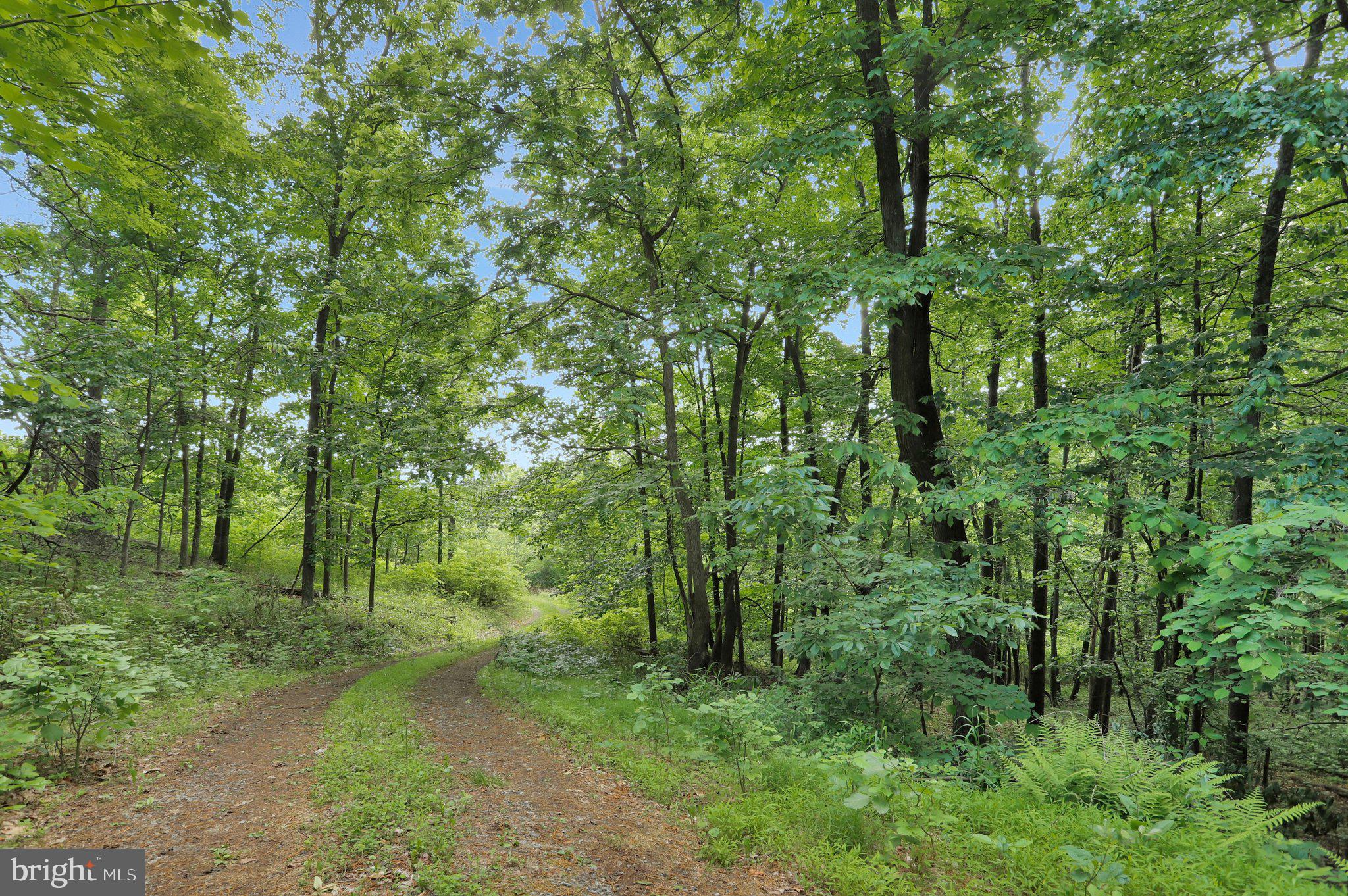 COOLFONT MOUNTAINSIDE - Residential