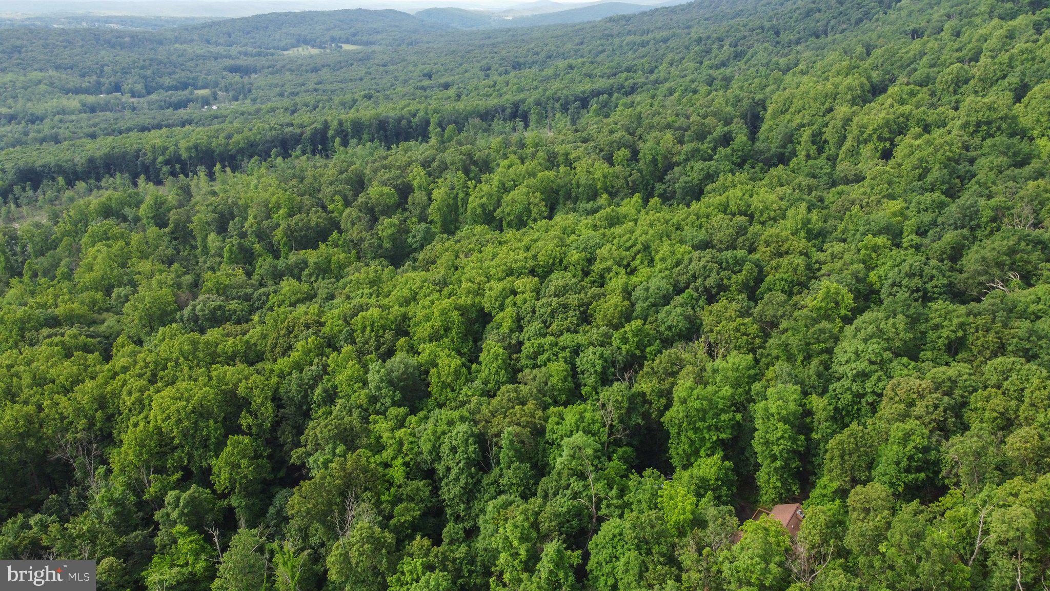 COOLFONT MOUNTAINSIDE - Residential