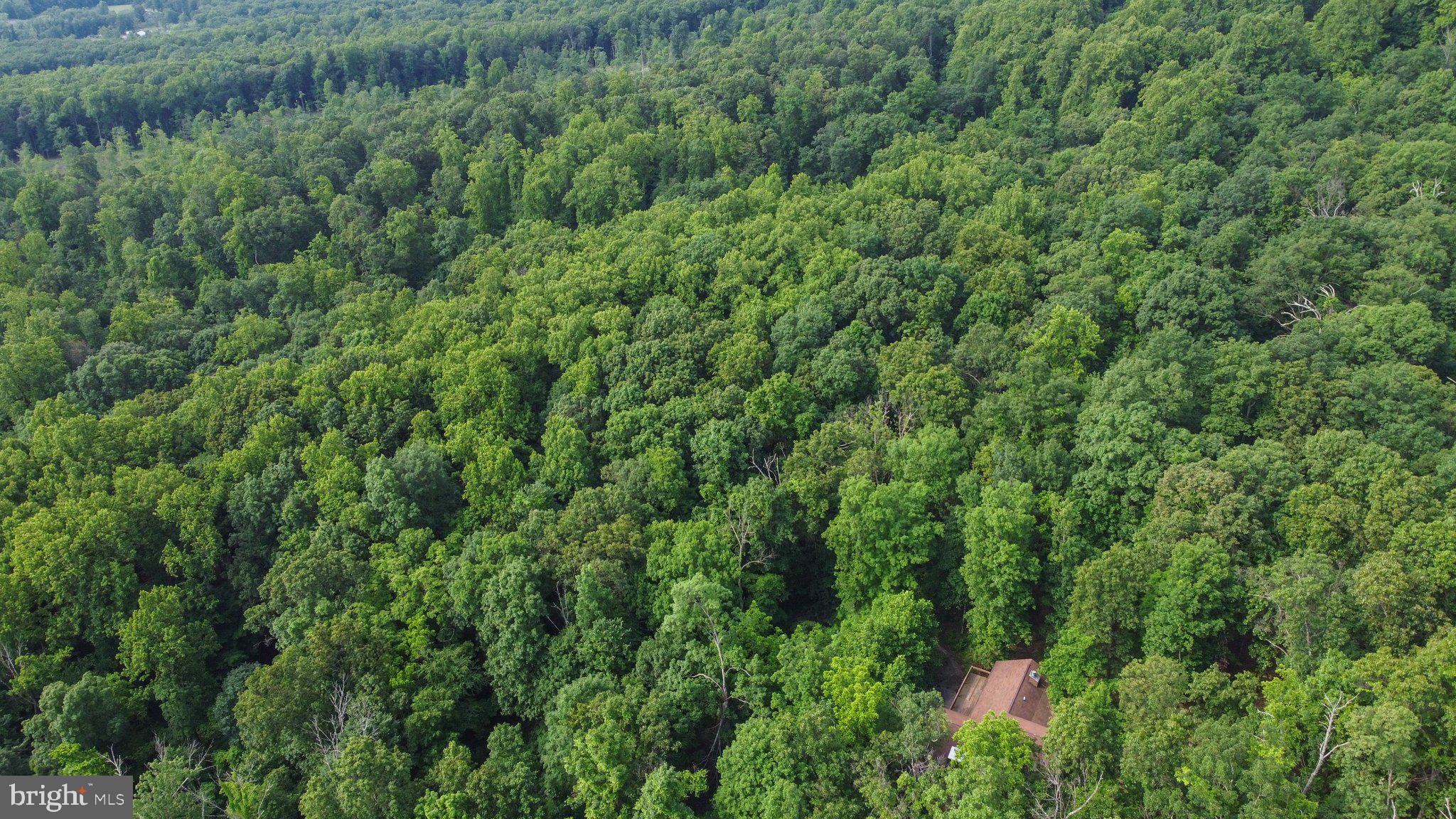 COOLFONT MOUNTAINSIDE - Residential