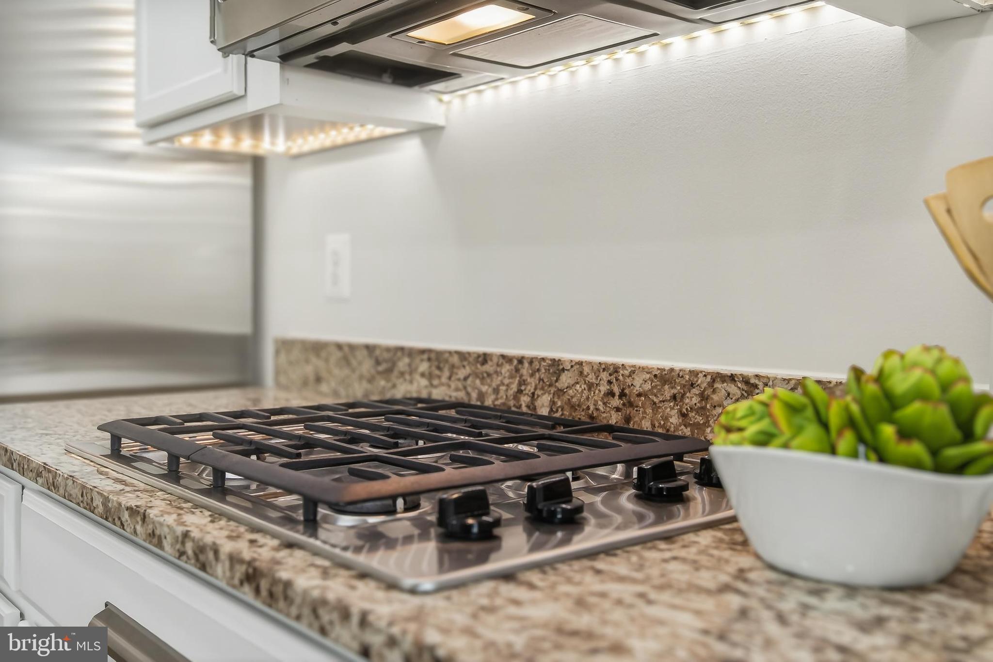 GREENE MILL PRESERVE - Residential