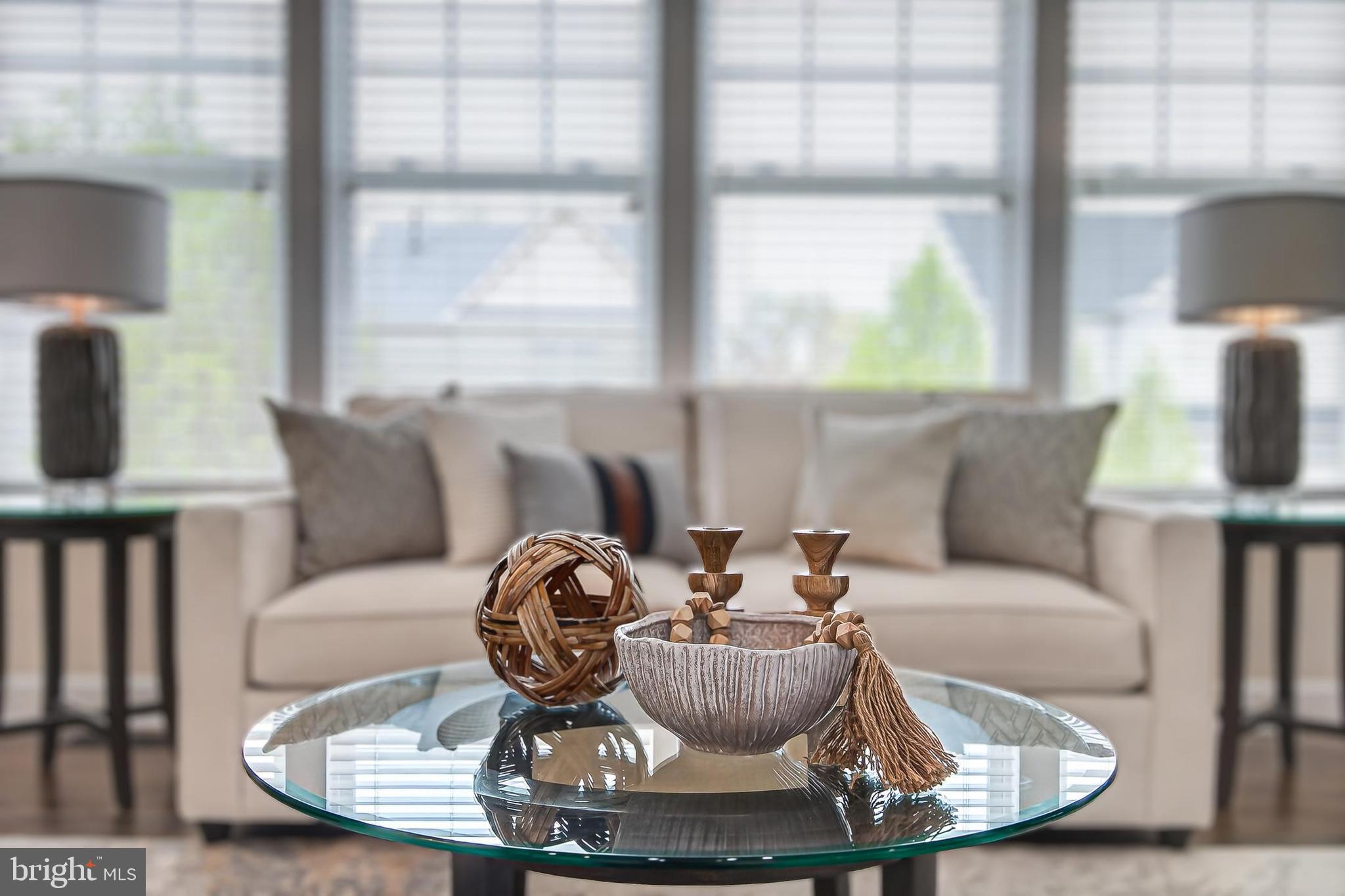 GREENE MILL PRESERVE - Residential