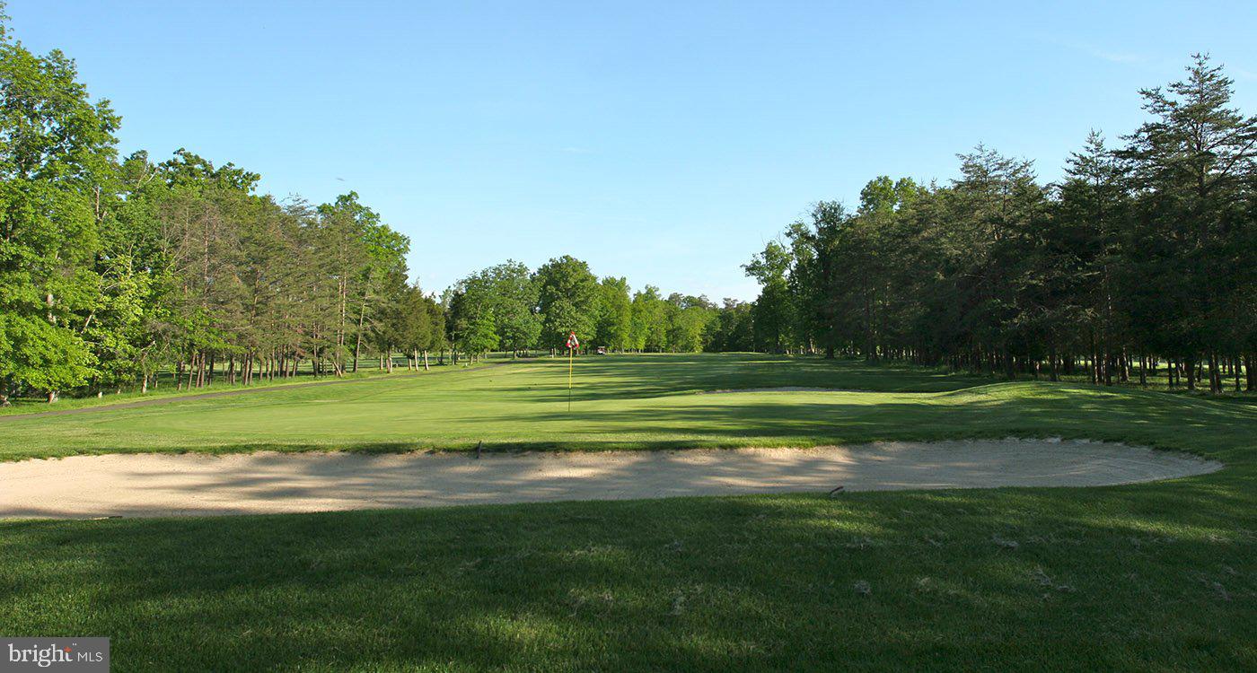 GREENE MILL PRESERVE - Residential