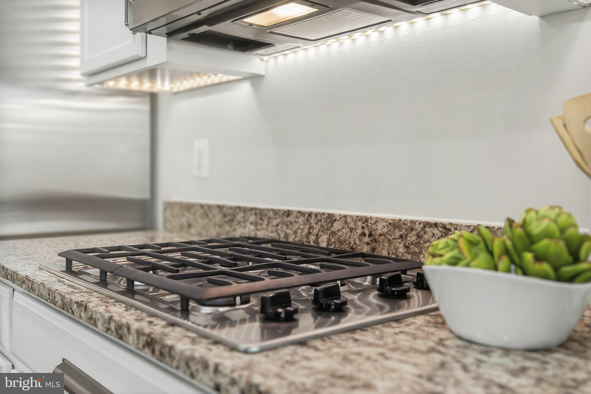 GREENE MILL PRESERVE - Residential