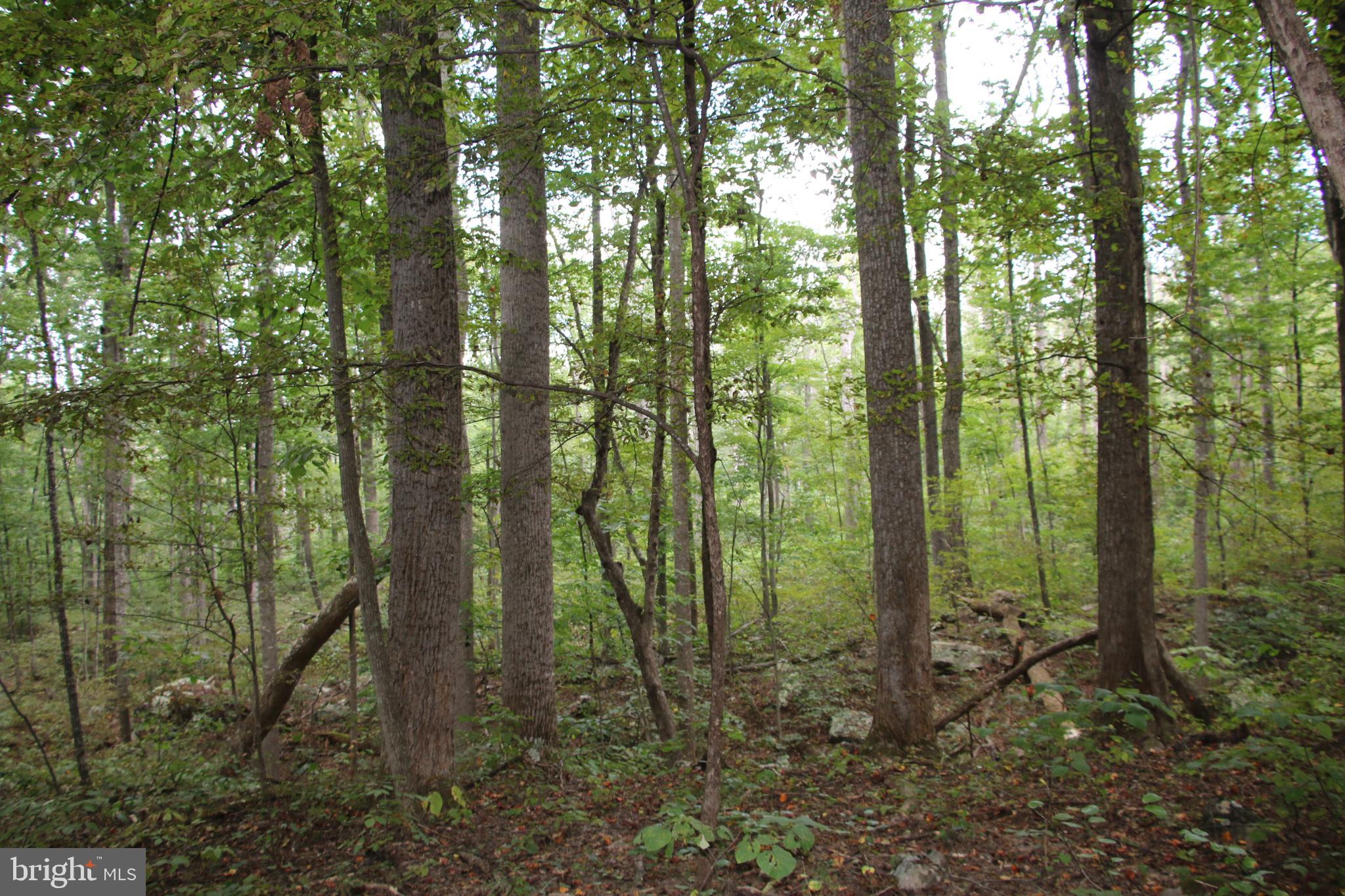 HUNTERS VALLEY - Land