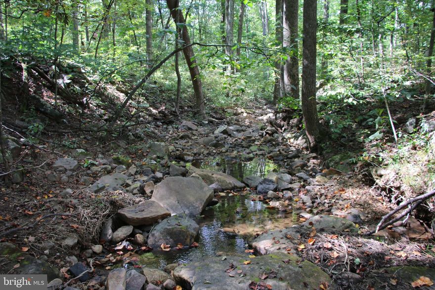 Enjoy privacy and seclusion on this fully wooded lot in the Hunters Valley community located a few miles southwest of Gore off of Back Creek Road. On the market for the first time in over 30 years! Previously approved for a 2 bedroom septic system. A small stream named Reed Creek traverses the lot adding to its beauty and character. Electricity is already running part of the way down Forest Lane making for an easy connection. The topography is builder friendly and access is easy with road frontage on Forest Lane. Ideal location to build a permanent residence, weekend getaway, or vacation rental. Zoned RA (Rural Areas). Enjoy hiking, camping, and recreation of all types on this land. Deer and turkey frequent the area along with small game species. Access to the Valley View Trail is close by for those interested in hiking. A short drive from all the amenities and attractions Winchester has to offer. Due to the wet conditions 4WD is required to view this property.