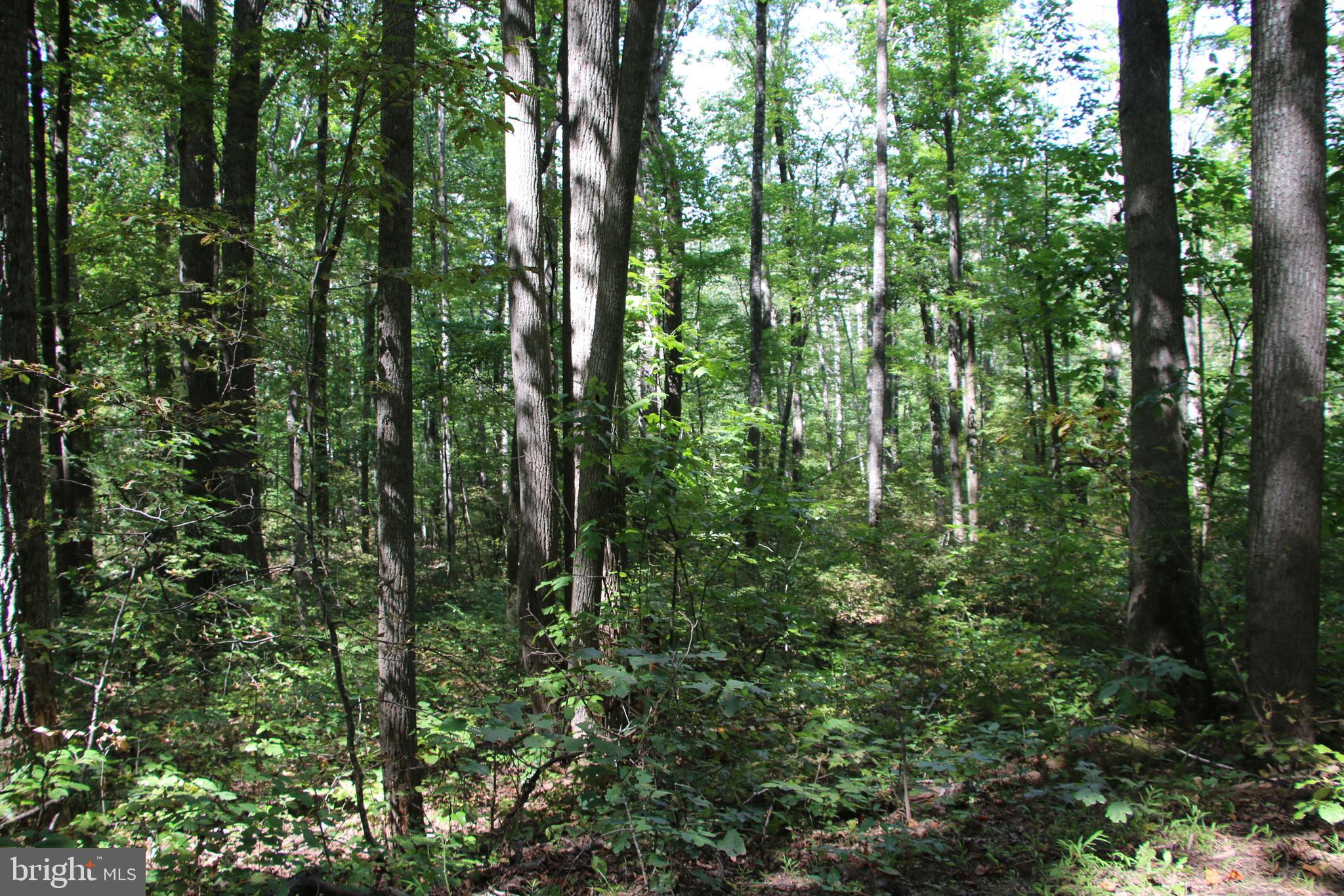 HUNTERS VALLEY - Land