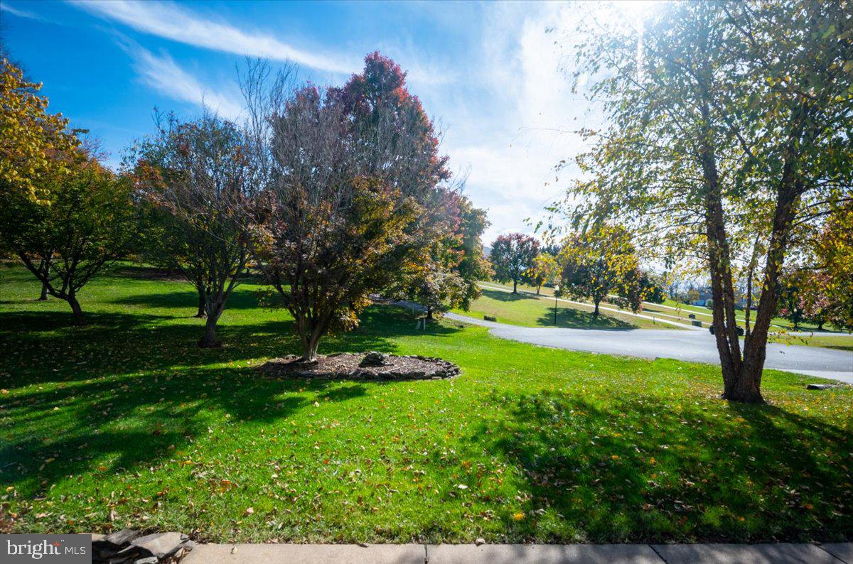 CARRIAGE PARK - Residential