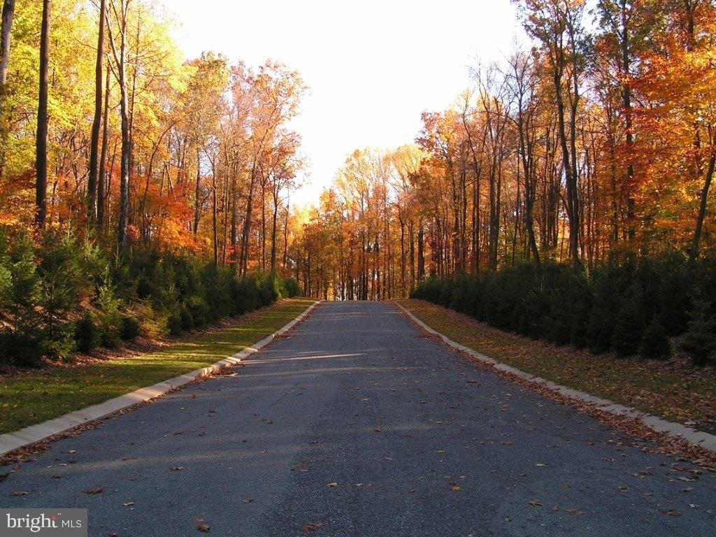 Photo of Lot 13 Mockingbird Lane, PALMYRA, PA 17078 (MLS # PALN2022760)
