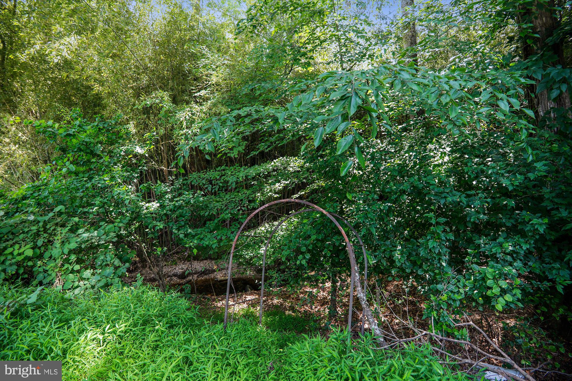 OAKLAWN - Residential