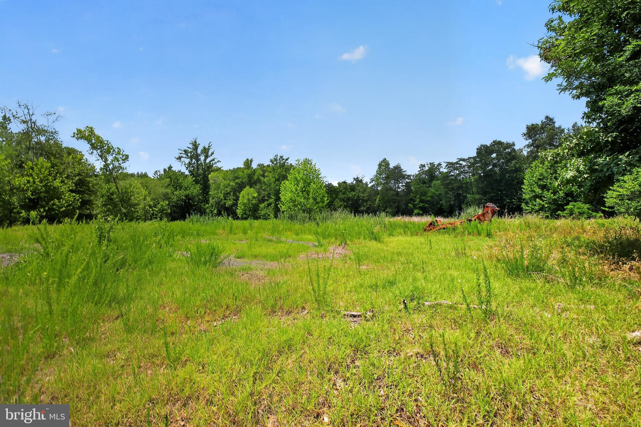 6000 MAUDE SAVOY BROWN ROAD
