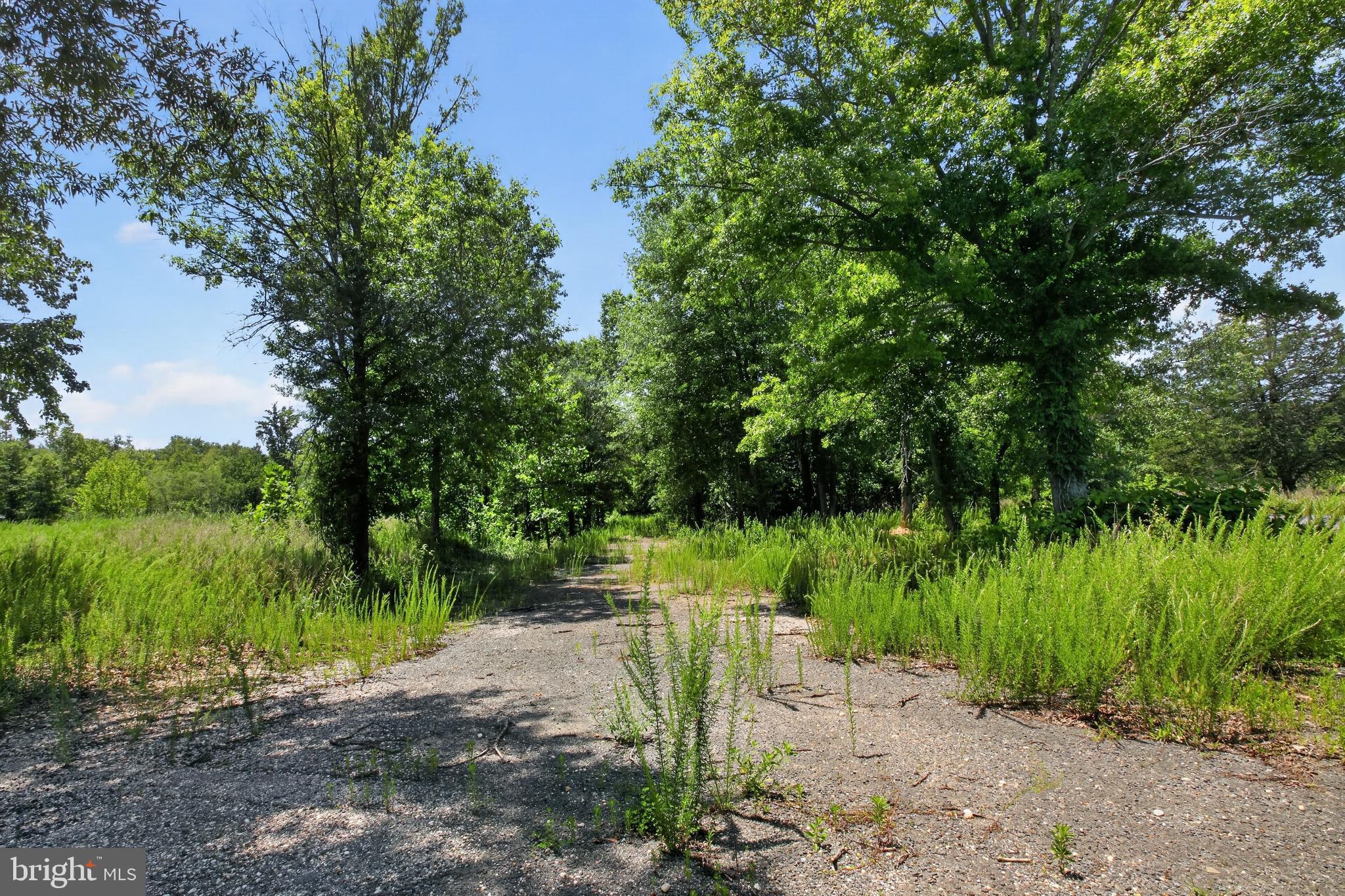 6000 MAUDE SAVOY BROWN ROAD
