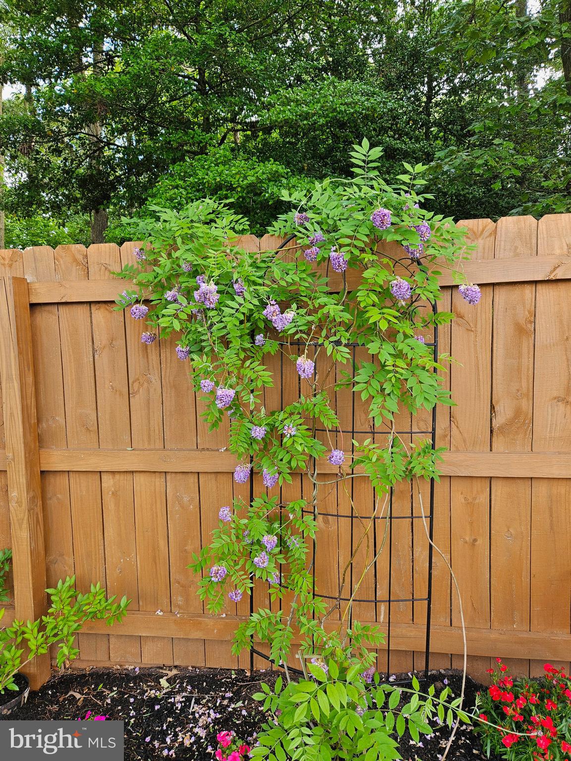 MEADOWS ON CUBBAGE POND - Residential