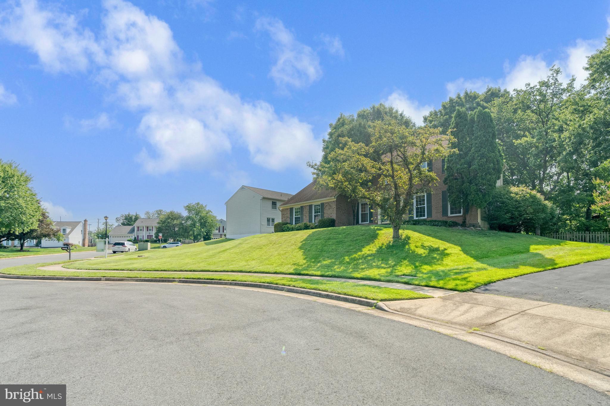 POPLAR TREE - Residential