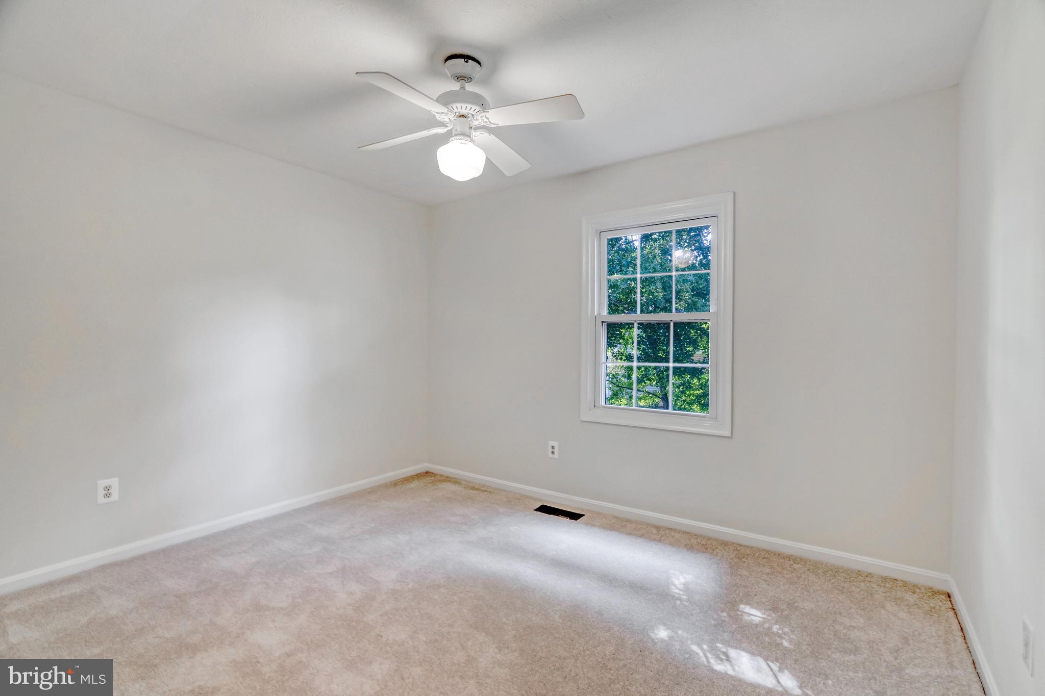 POPLAR TREE - Residential