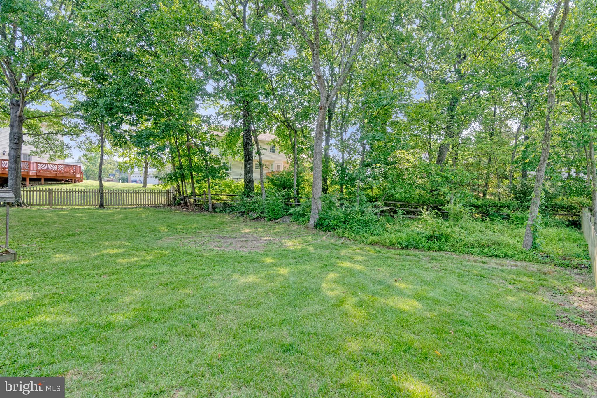 POPLAR TREE - Residential