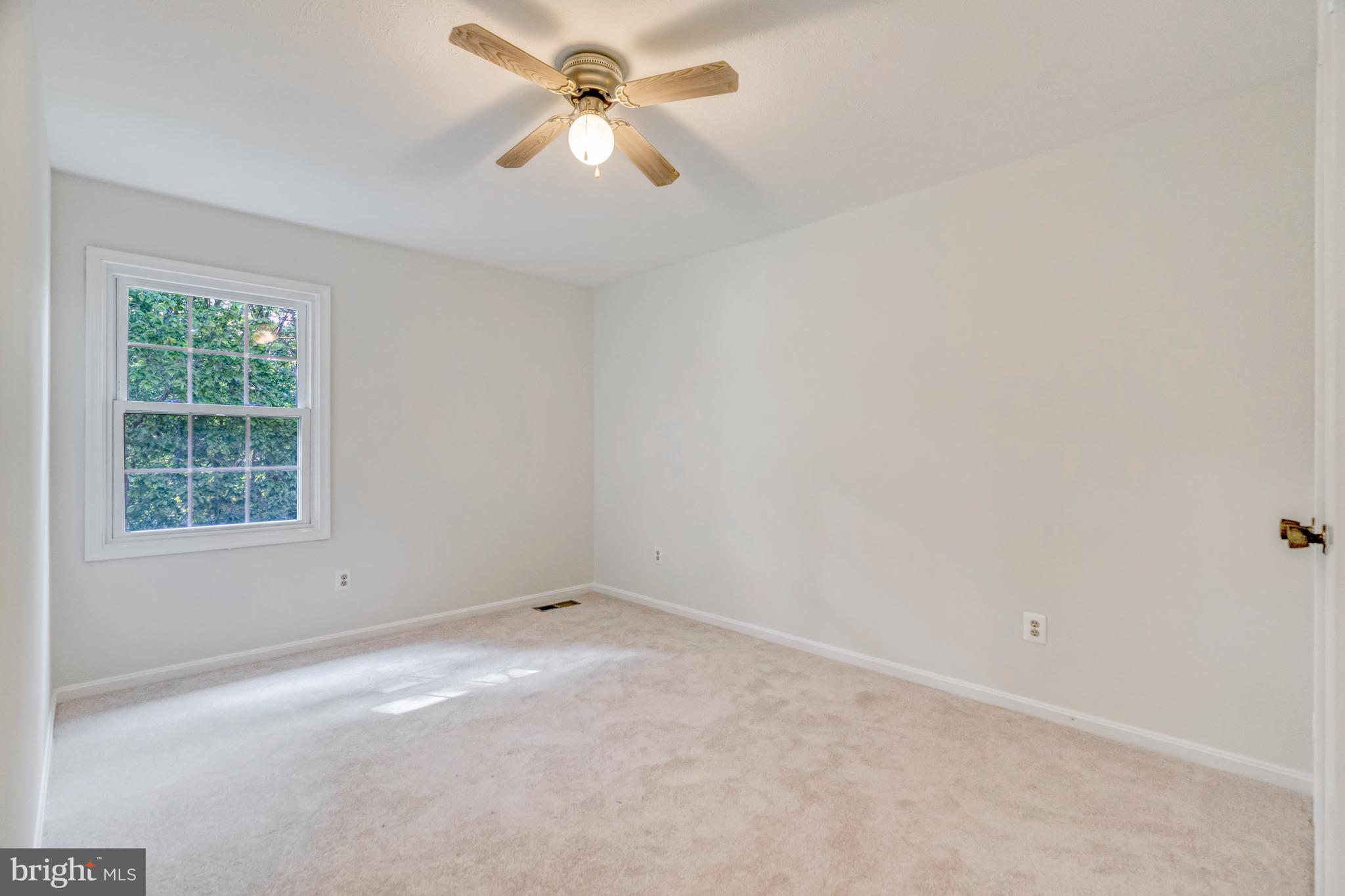 POPLAR TREE - Residential