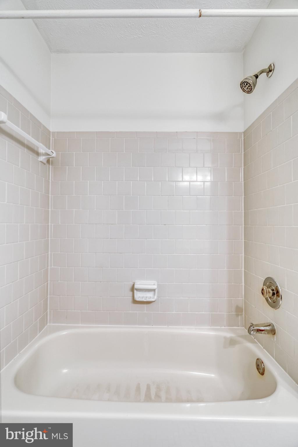 POPLAR TREE - Residential