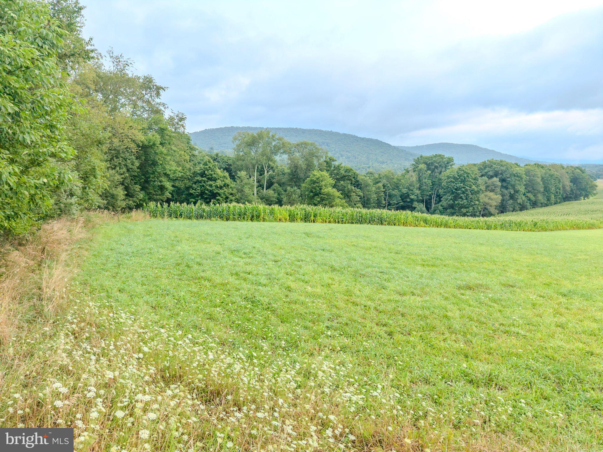 00 ROSE VALLEY ROAD