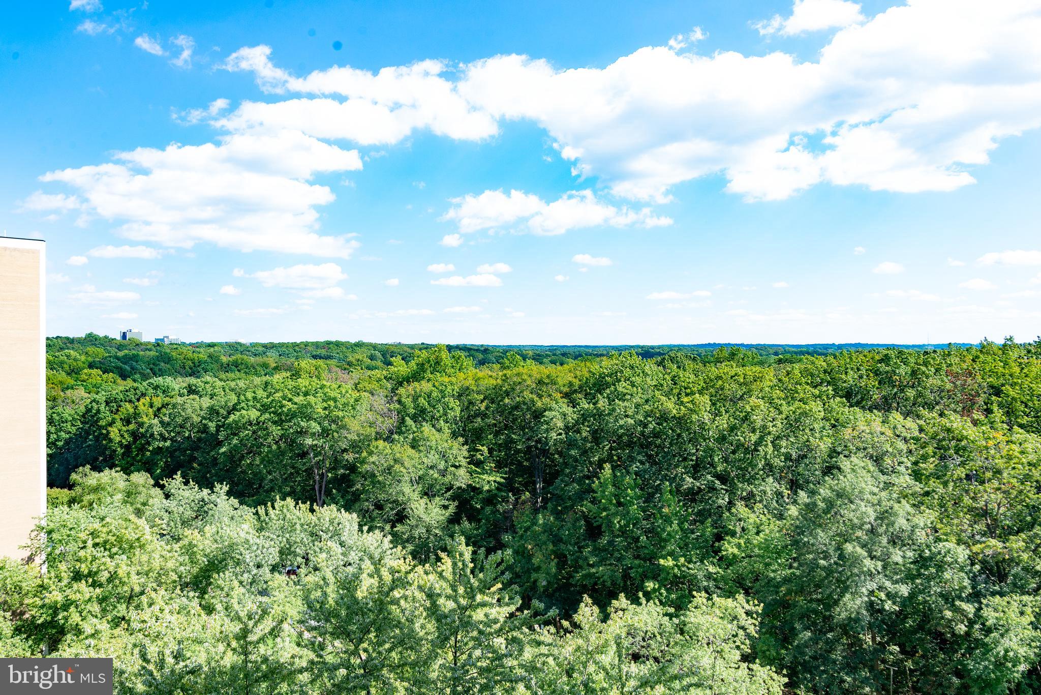 TOWERS IN WESTCHESTER PARK - Residential