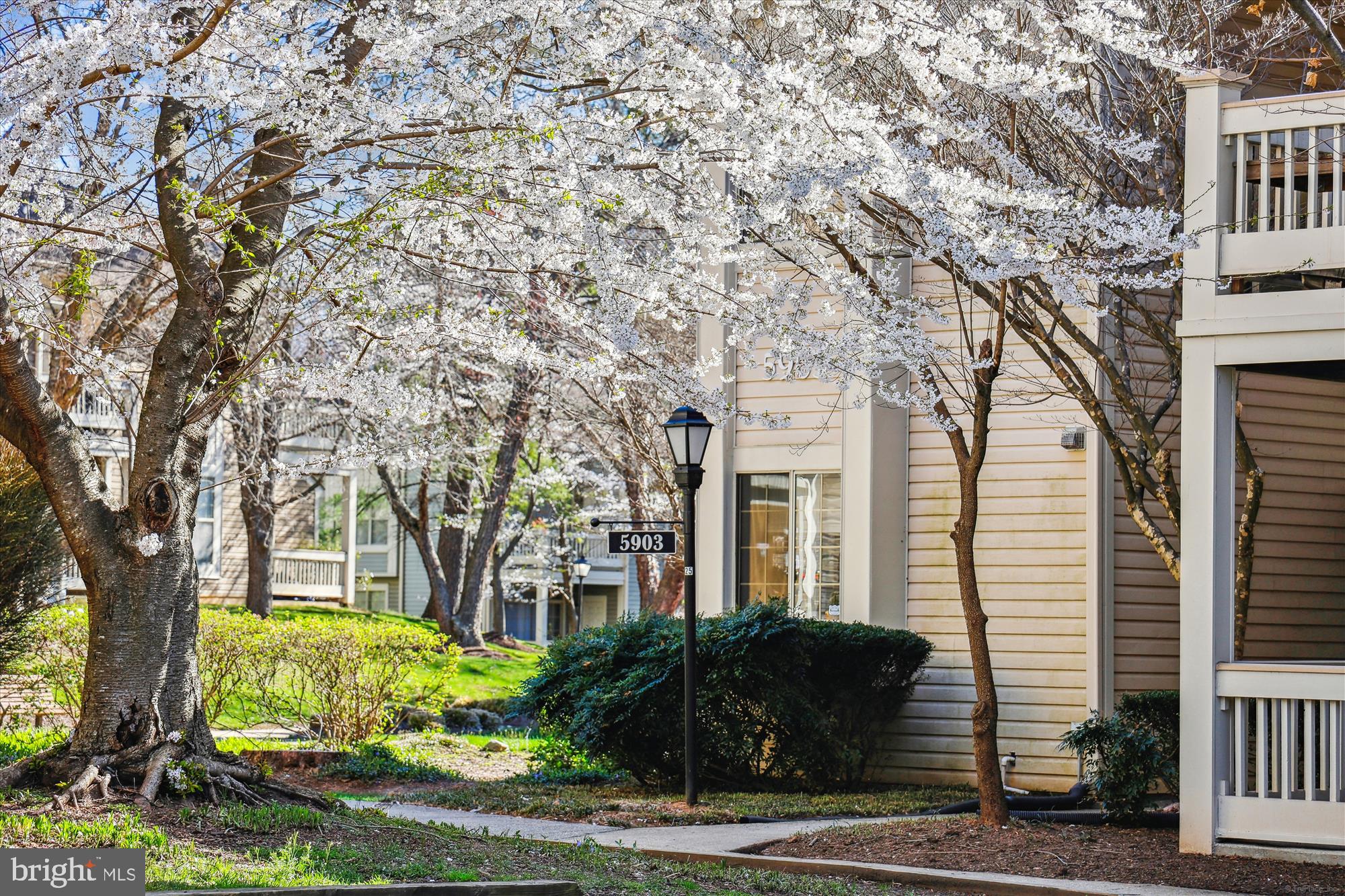 BENTLEY PLACE - Residential