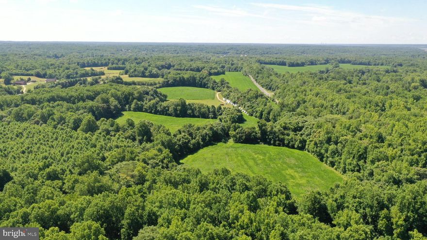 Rare Opportunity:  4 Private, Wooded Estate Homesites in Lothian, MD

Discover the perfect blend of privacy, nature, and convenience with these 4 exclusive estate-sized homesites nestled in the heart of Lothian, Maryland. Timeless Oak Trail, a premier rural estate community featuring homesites ranging from 4 to 11 acres, each site offers a unique opportunity to build your dream home surrounded by mature conservation, gently rolling terrain, and tranquil seclusion.

Tucked away on a private, scenic road, these expansive wooded parcels provide the peace of rural living with easy access to Annapolis, Washington D.C., and major commuter routes. Do you dream of the quiet serenity of a home surrounded by nature, with forest conservation in every direction? Can you picture living on a property where you could build your ideal self-sufficient homestead? Timeless Oak Trail may be the destination you've been waiting for!

All homes will be built exclusively by custom homebuilder, Timeless Builds. Bring your own architectural plans or work closely with the Timeless team to bring your vision to life with unmatched craftsmanship, thoughtful design, and personalized attention to every detail.

Features:
4 premium wooded sites – estate-sized and private
Serene natural surroundings with abundant wildlife
Approved perc
Minutes to Route 4, shopping, and top-rated schools
Covenant protected

This is a limited opportunity to secure land in one of Southern Anne Arundel County’s most desirable locations.

Schedule your private tour today and start planning your forever home in Lothian.