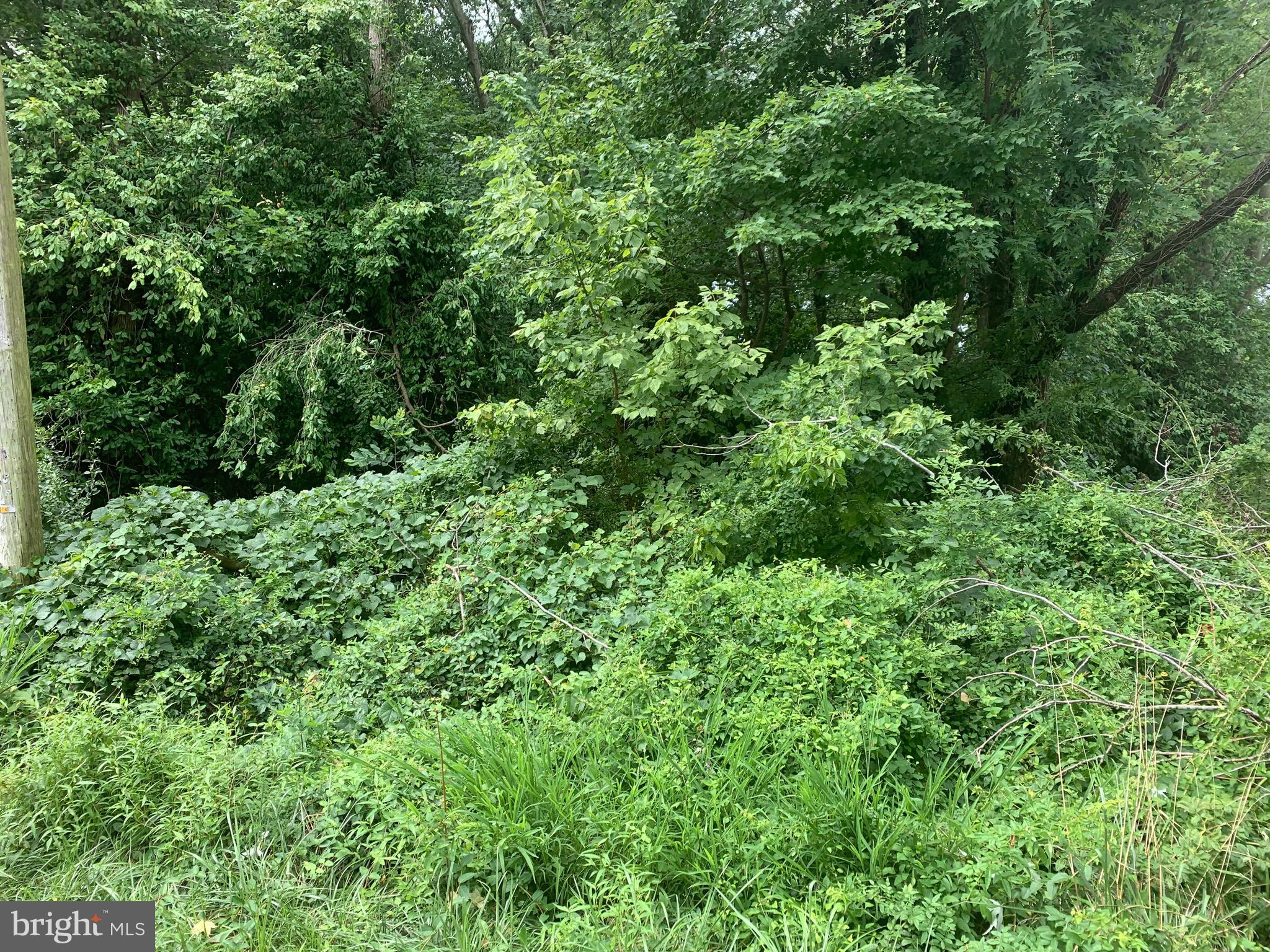 Lot 38 CHERRY LANE
