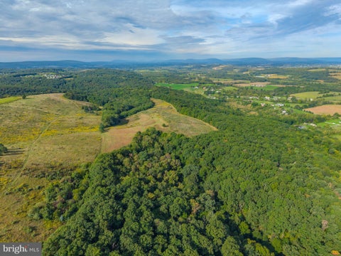 Vacant Land For Sale - 00 Sugar Camp Road<br/> DANVILLE, PA 17821