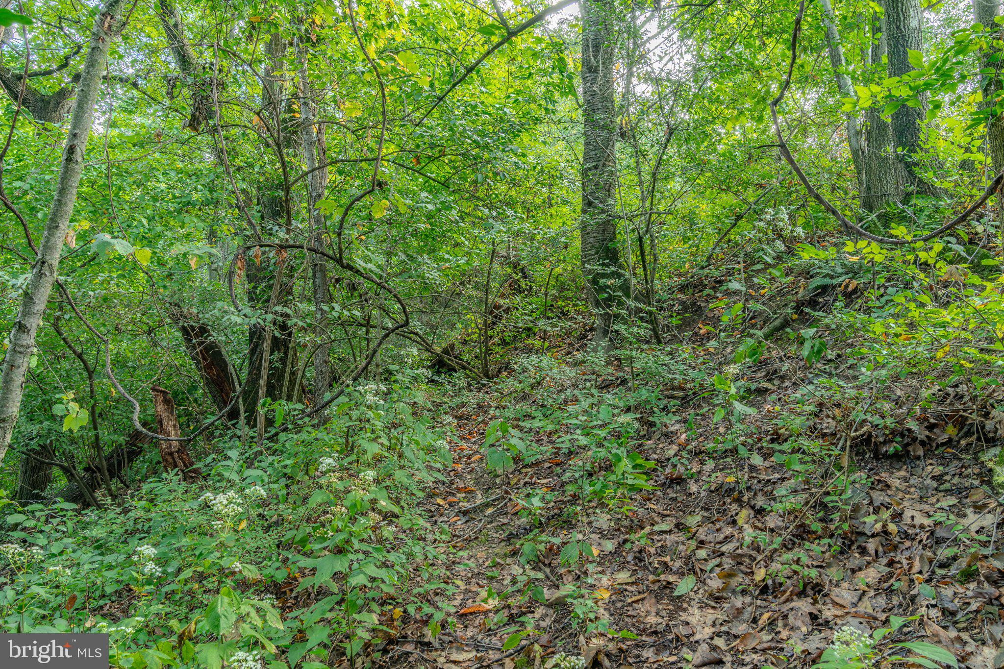 00 SUGAR CAMP ROAD