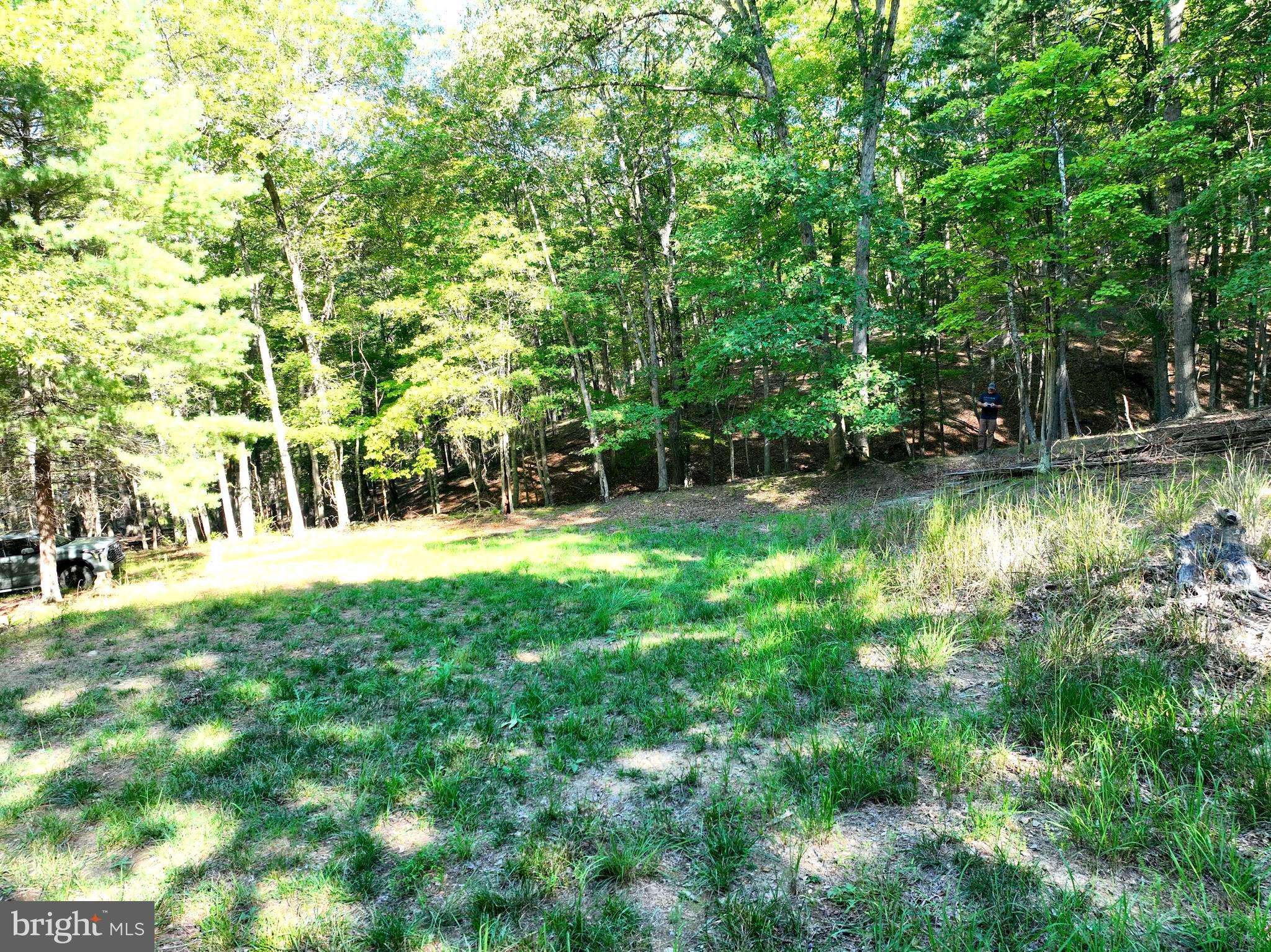 THE CROSSING AT GREAT CACAPON - Land