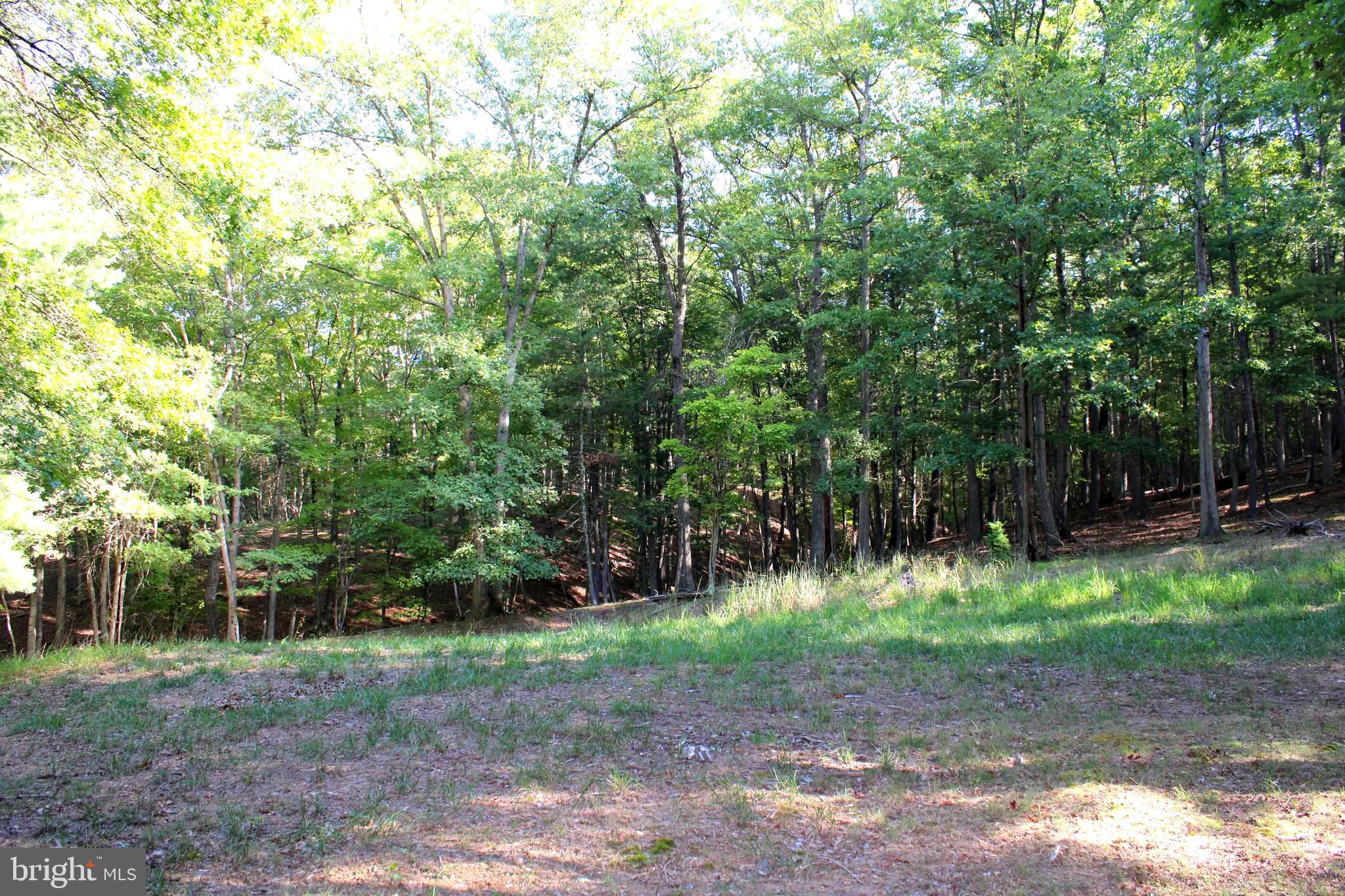 THE CROSSING AT GREAT CACAPON - Land