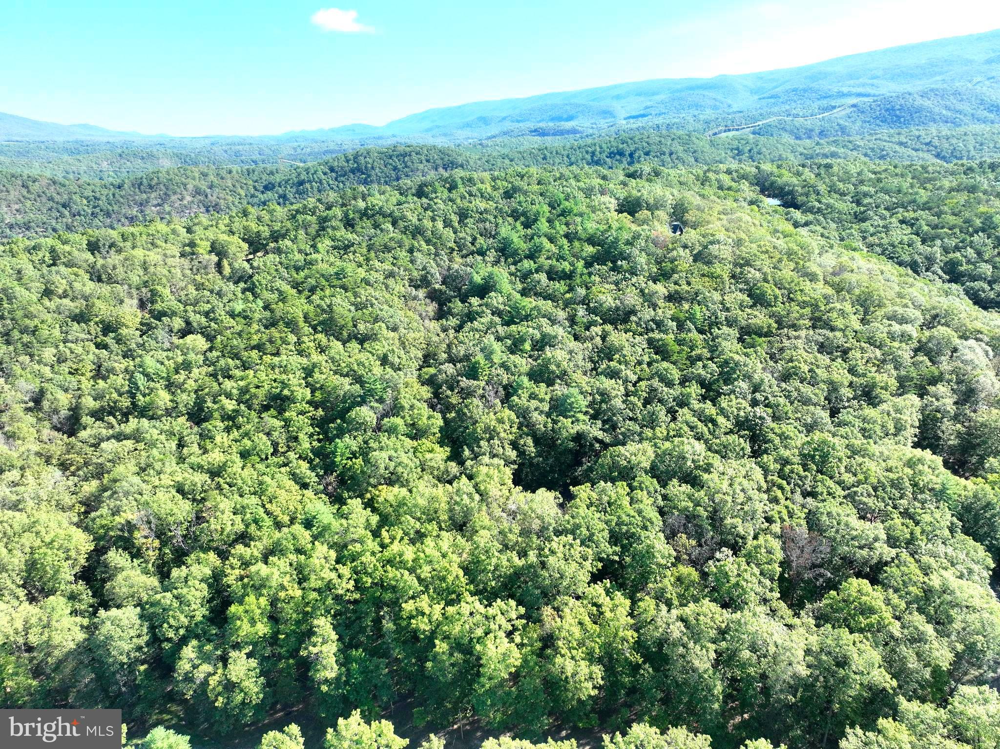 THE CROSSING AT GREAT CACAPON - Land