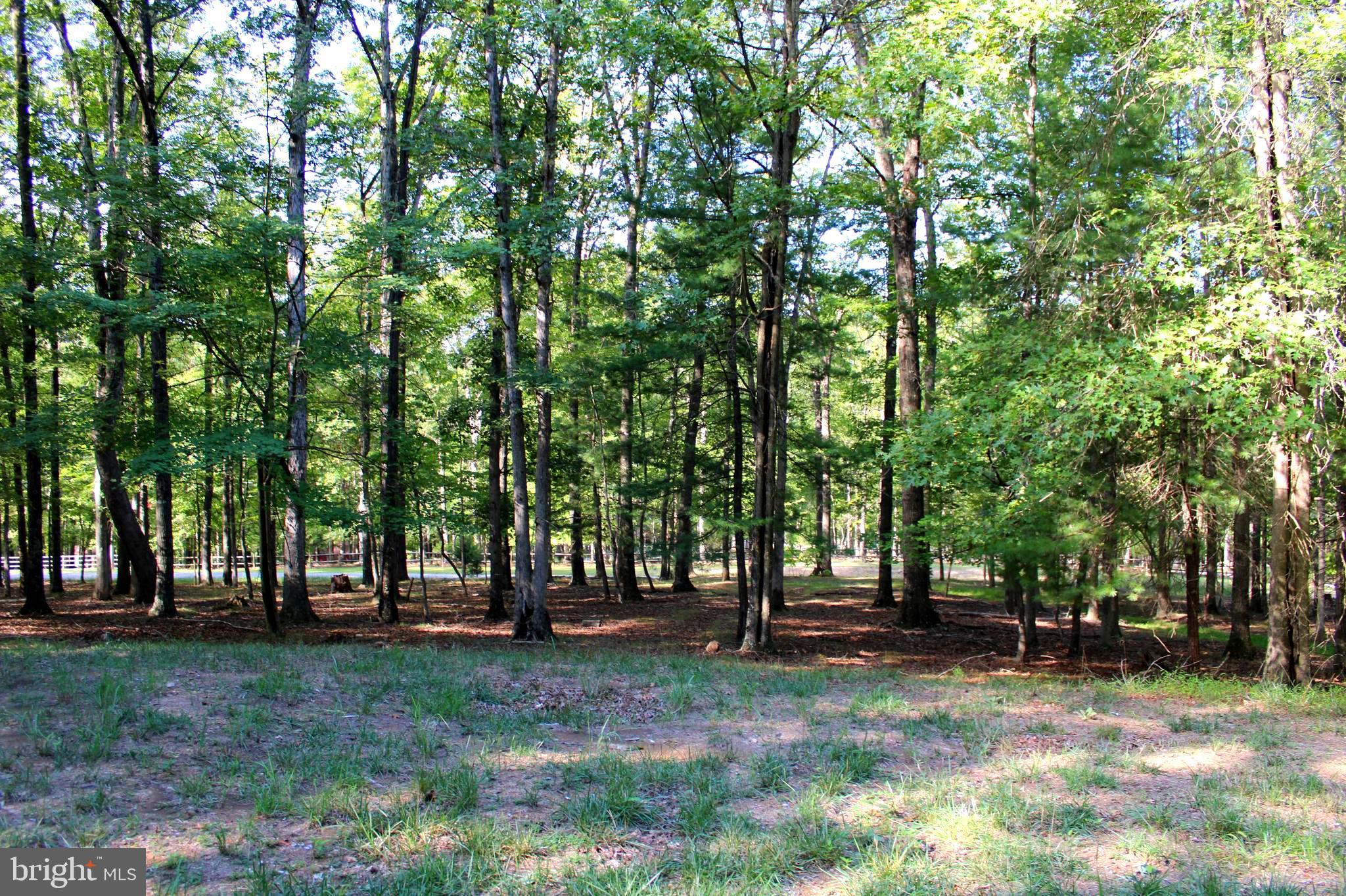 THE CROSSING AT GREAT CACAPON - Land