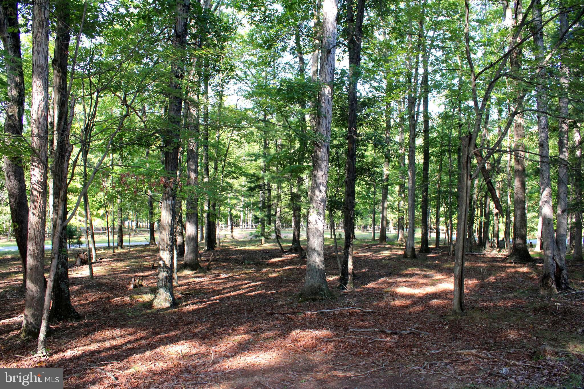THE CROSSING AT GREAT CACAPON - Land