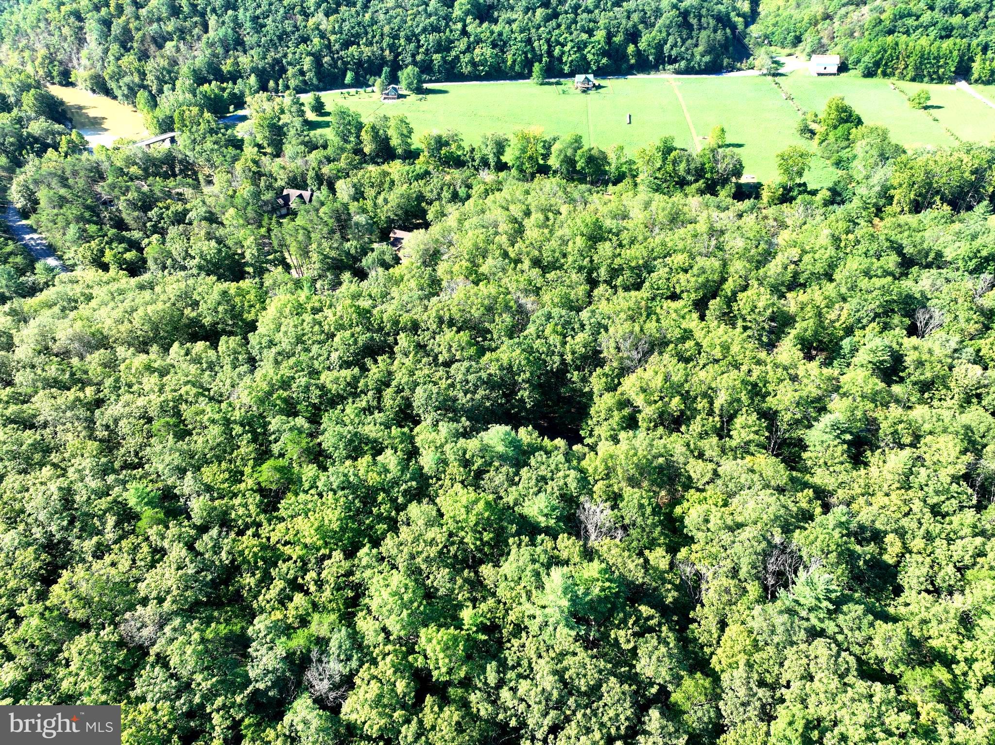THE CROSSING AT GREAT CACAPON - Land