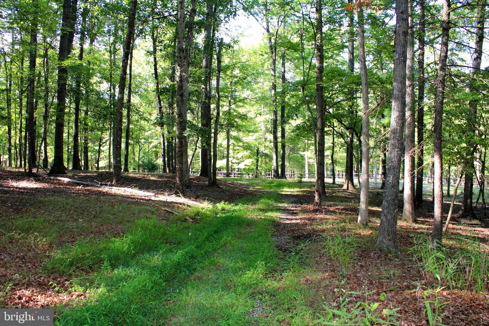 THE CROSSING AT GREAT CACAPON - Land
