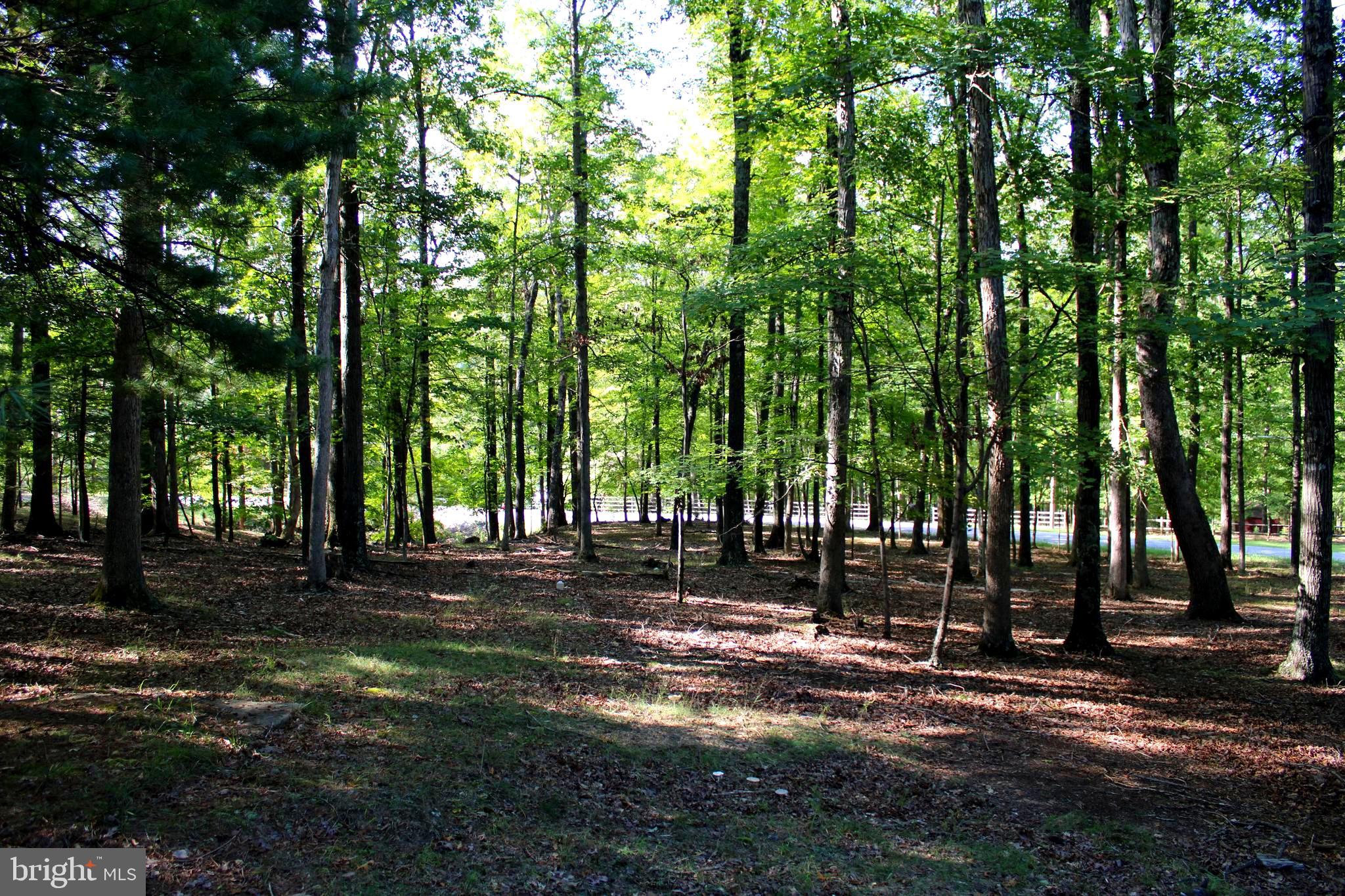 THE CROSSING AT GREAT CACAPON - Land