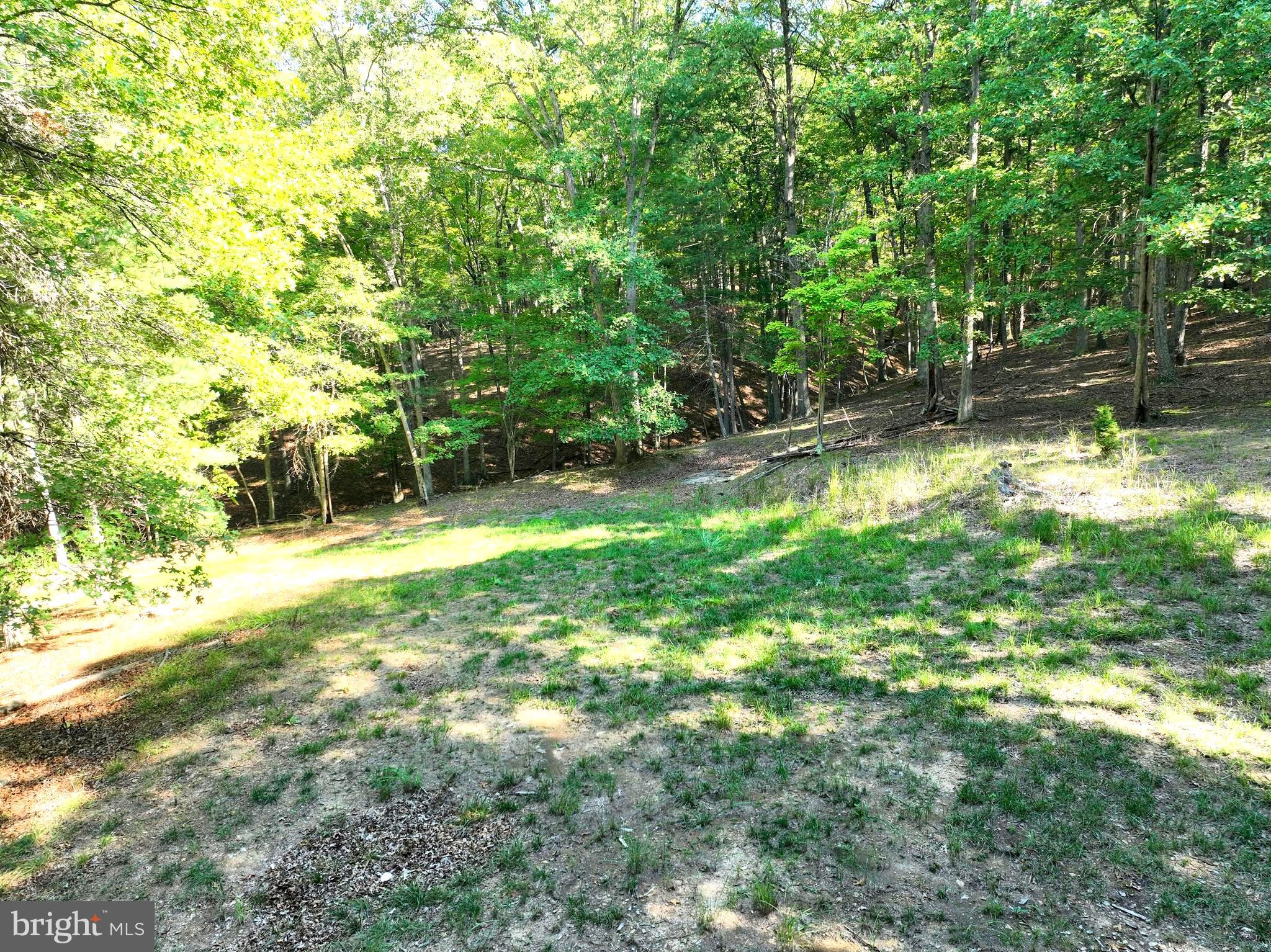 THE CROSSING AT GREAT CACAPON - Land