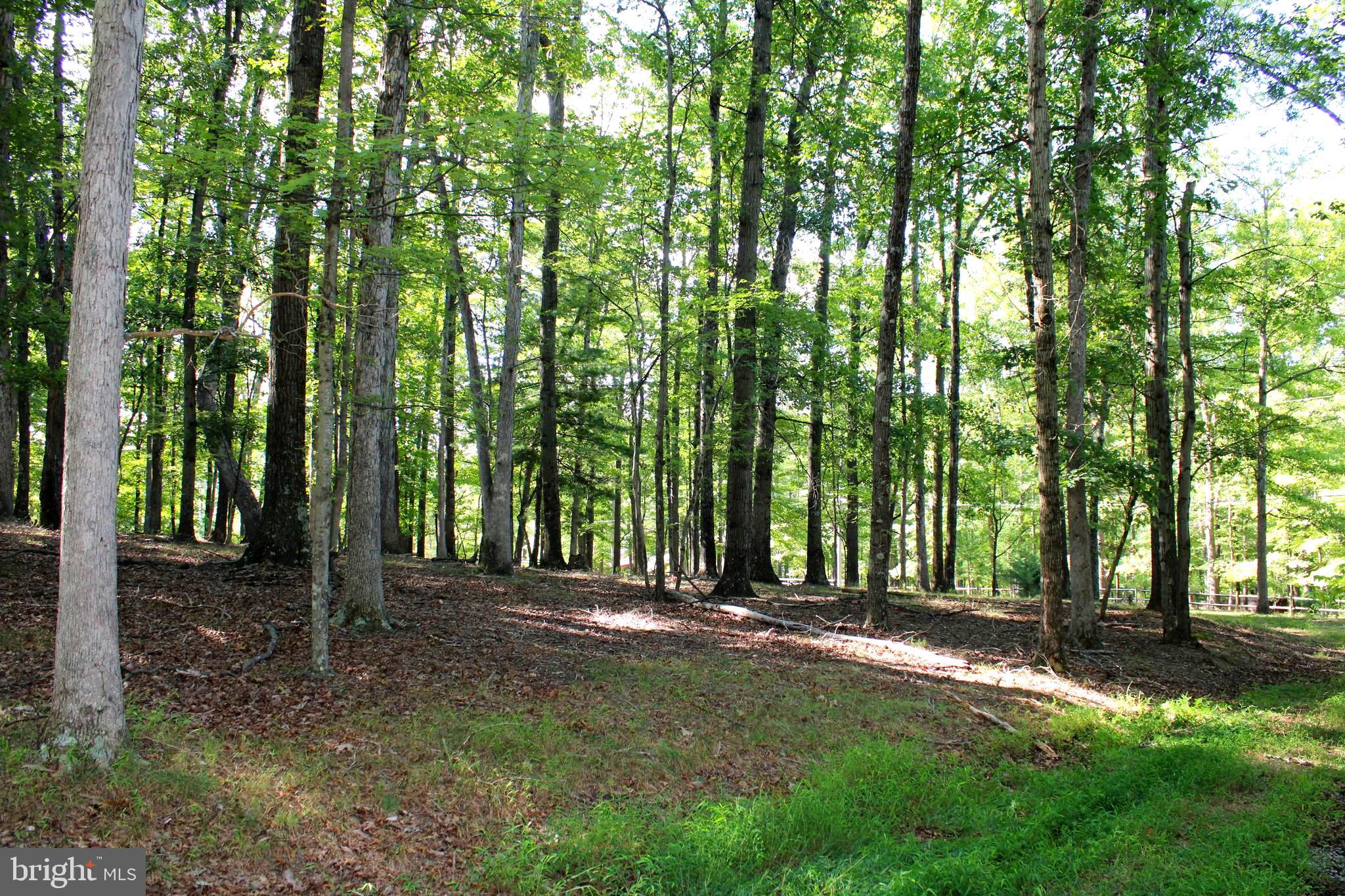 THE CROSSING AT GREAT CACAPON - Land