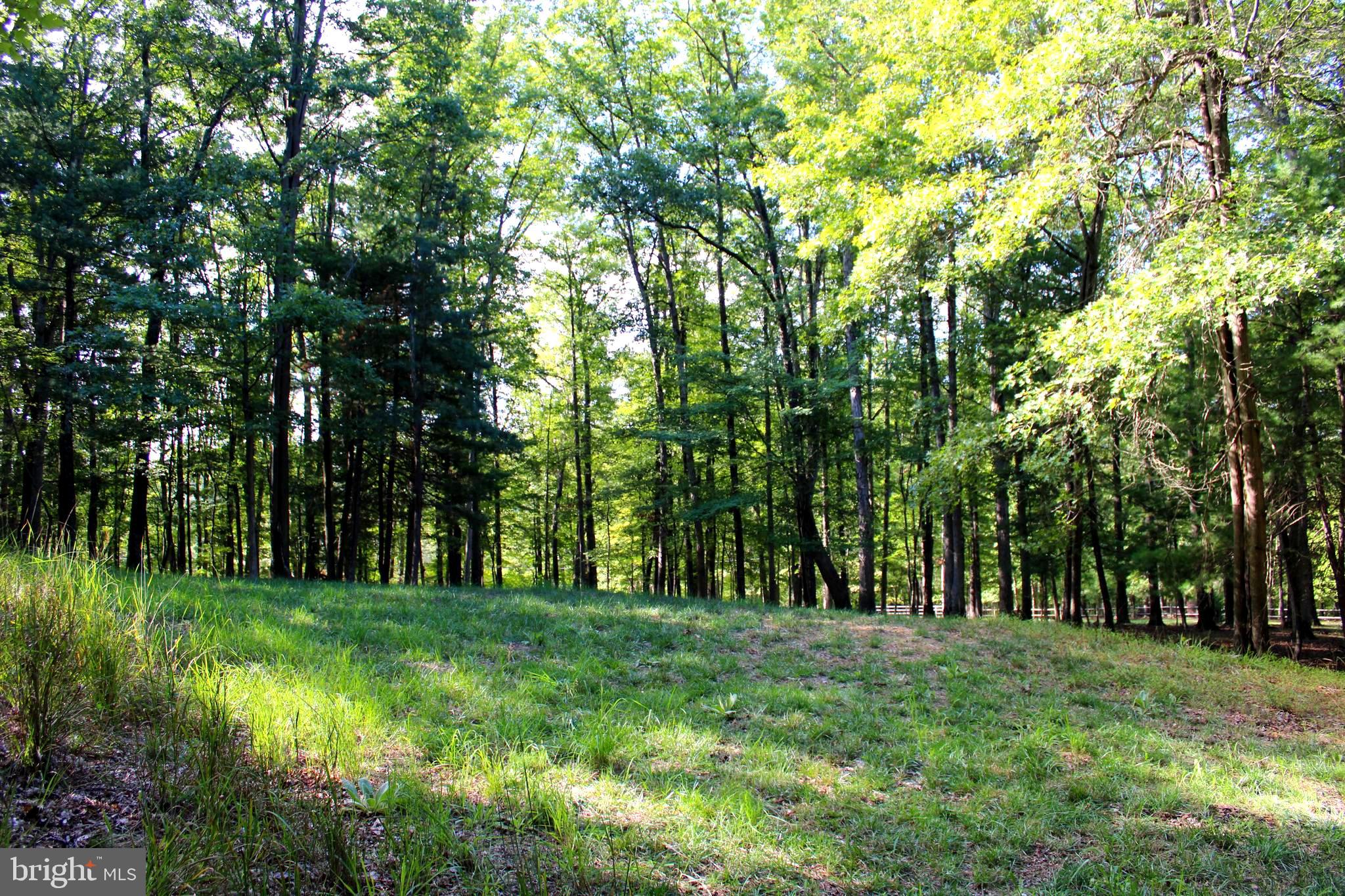 THE CROSSING AT GREAT CACAPON - Land