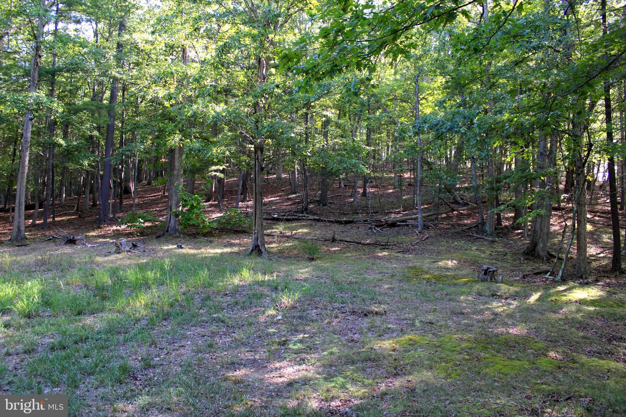 THE CROSSING AT GREAT CACAPON - Land