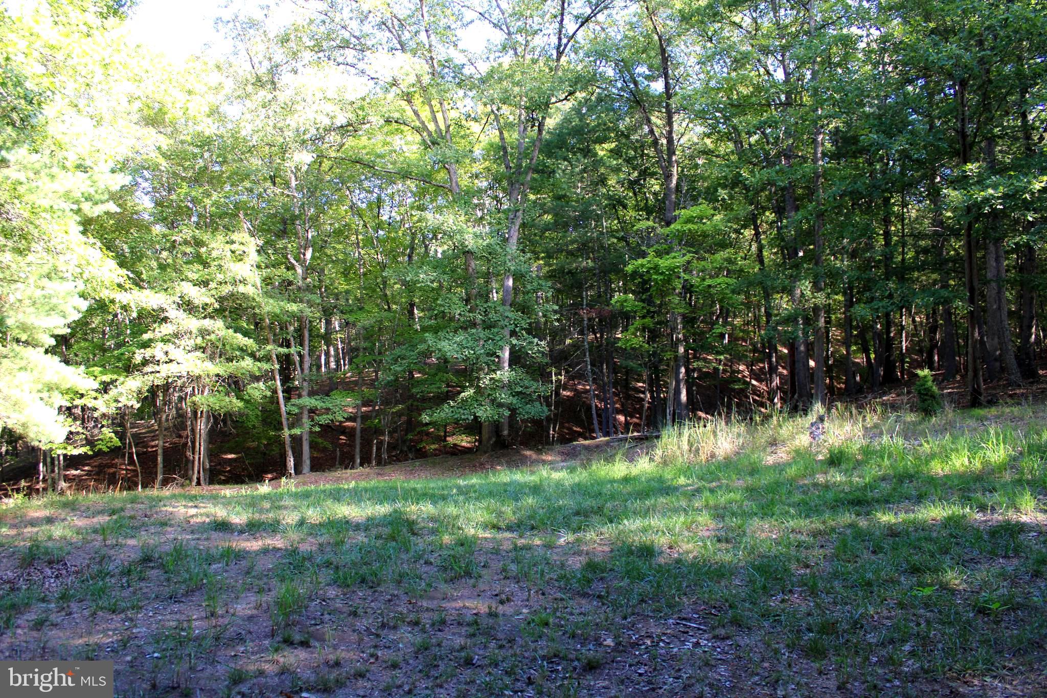 THE CROSSING AT GREAT CACAPON - Land