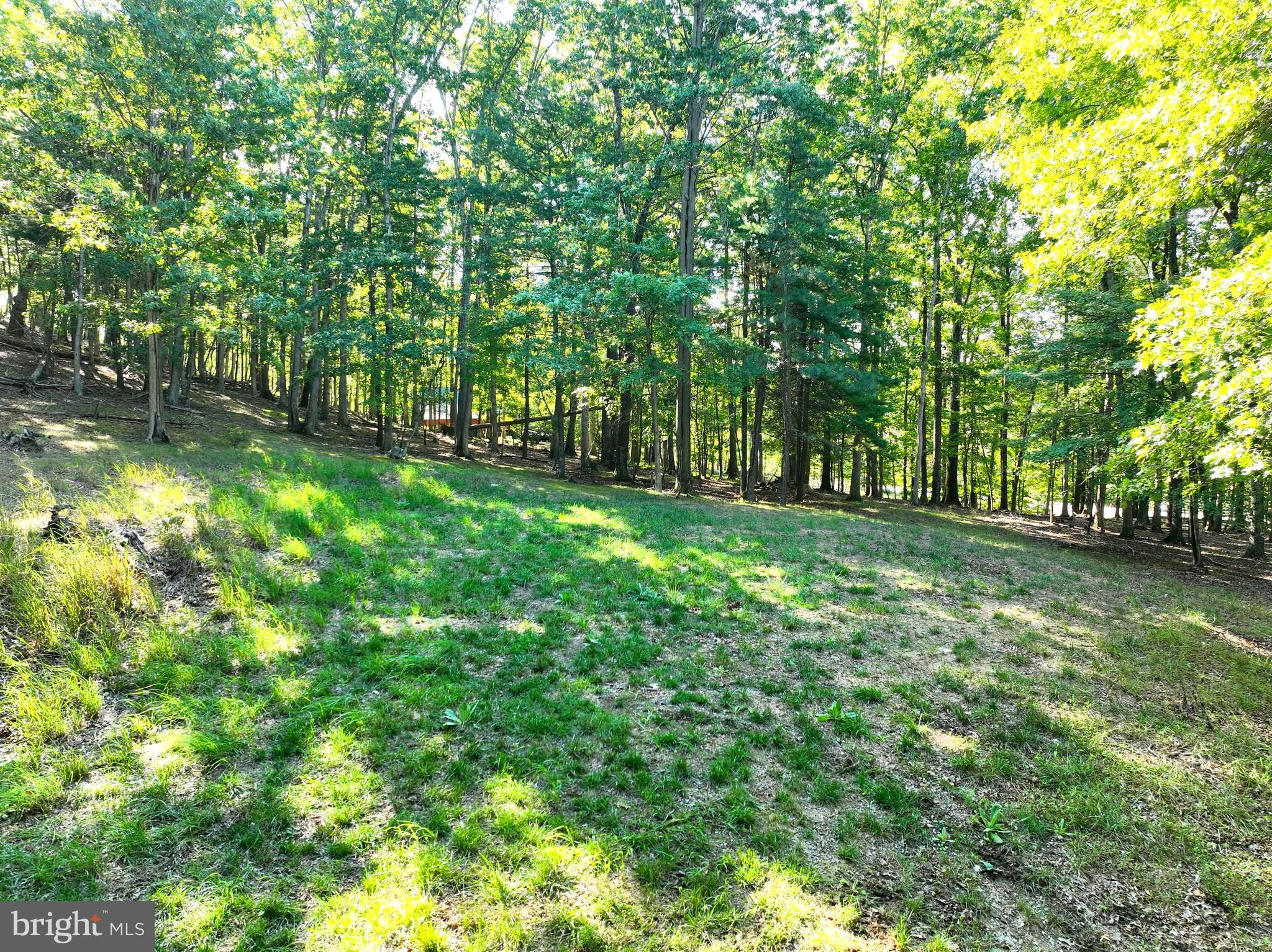 THE CROSSING AT GREAT CACAPON - Land