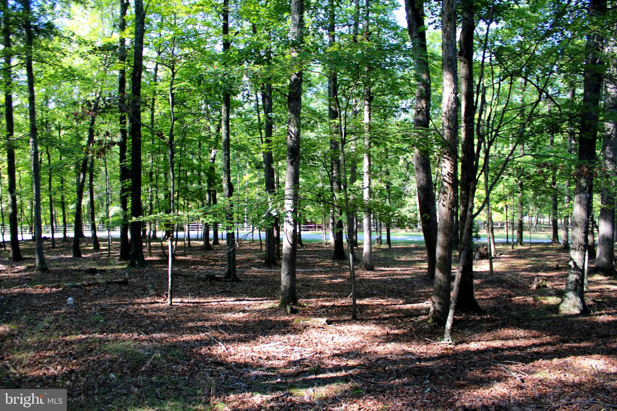 THE CROSSING AT GREAT CACAPON - Land