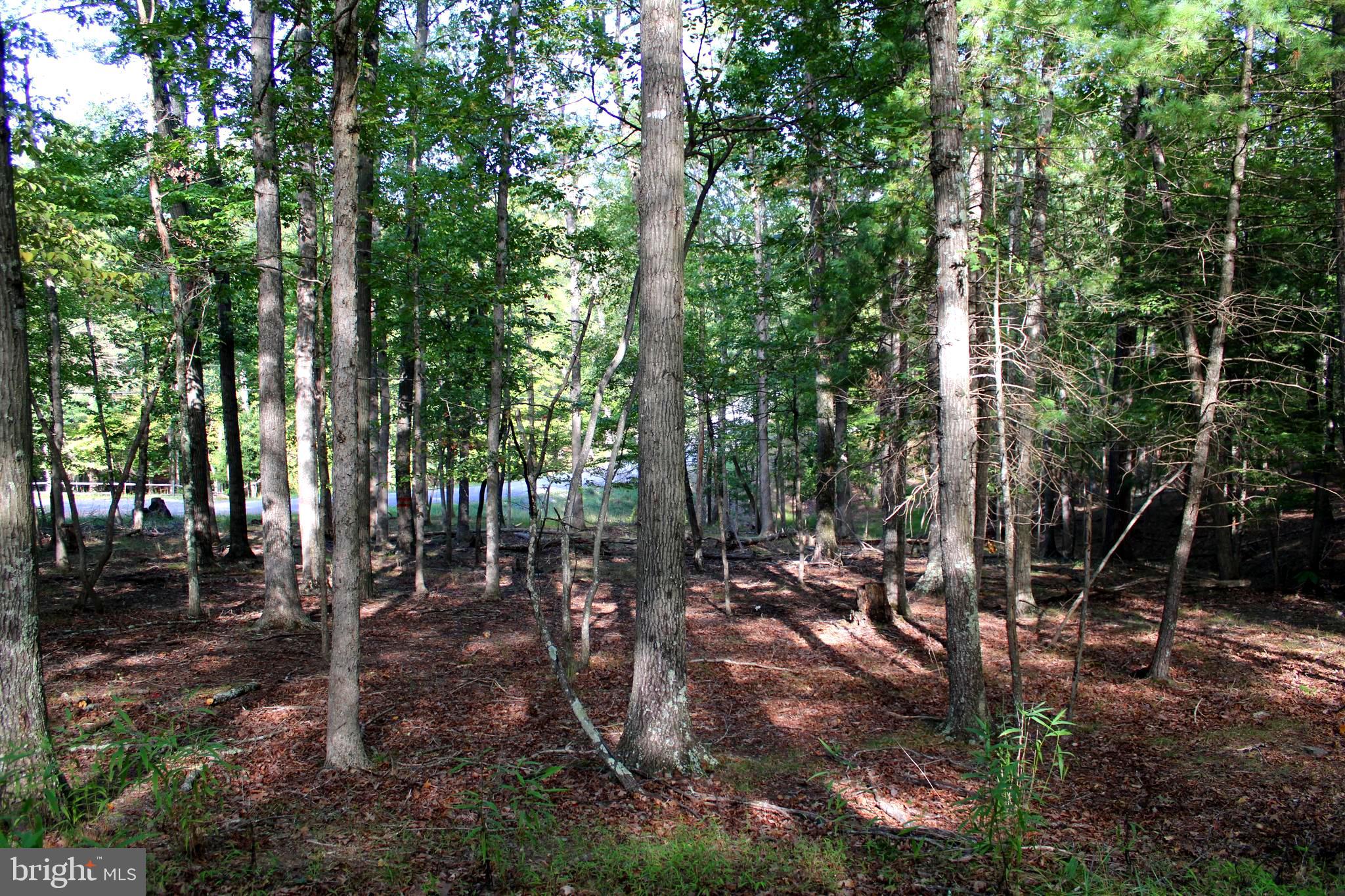 THE CROSSING AT GREAT CACAPON - Land