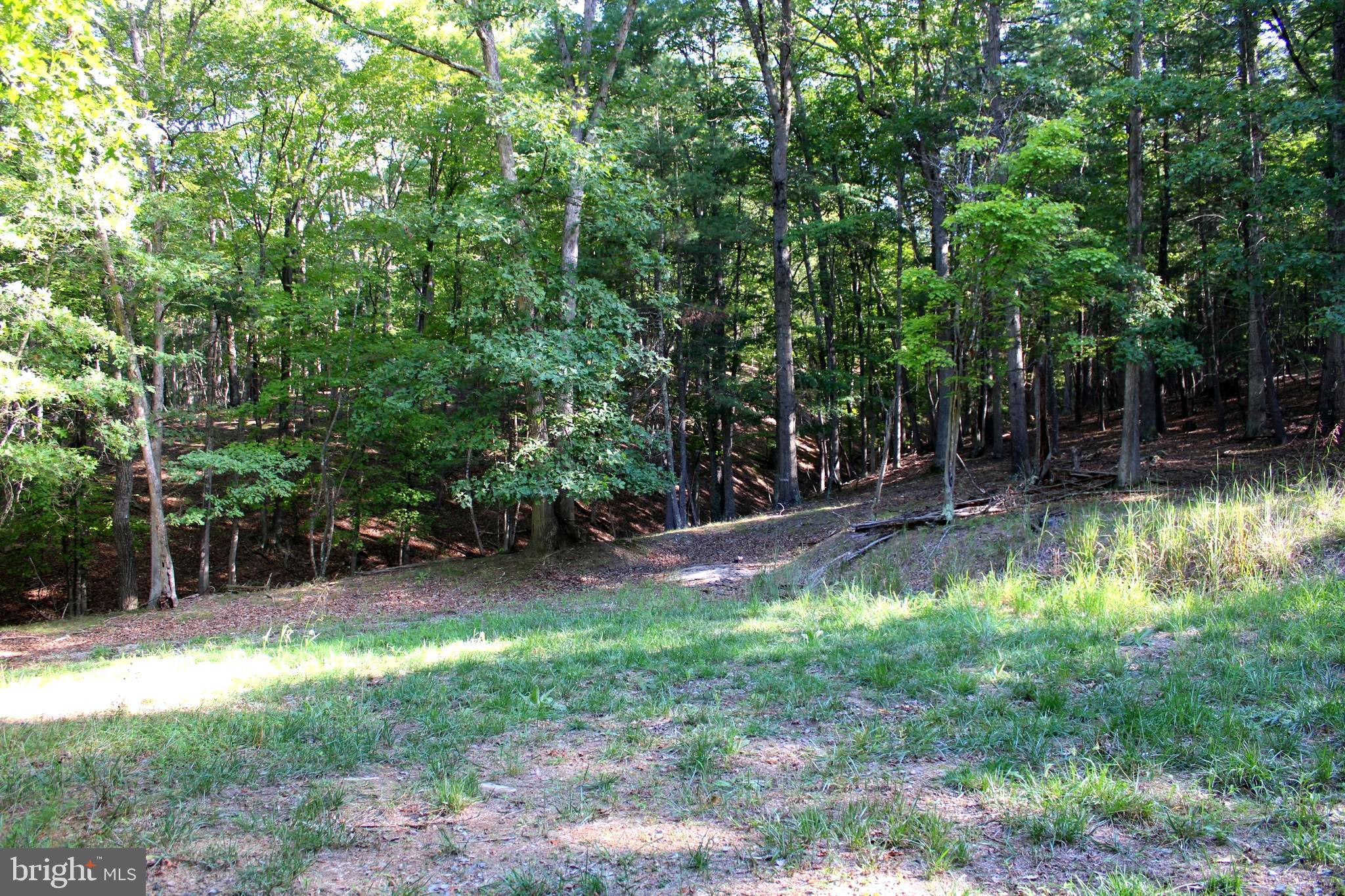 THE CROSSING AT GREAT CACAPON - Land