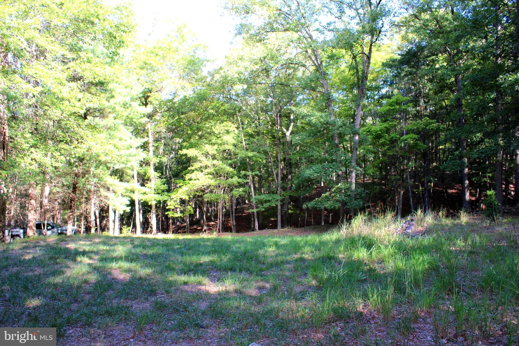 THE CROSSING AT GREAT CACAPON - Land