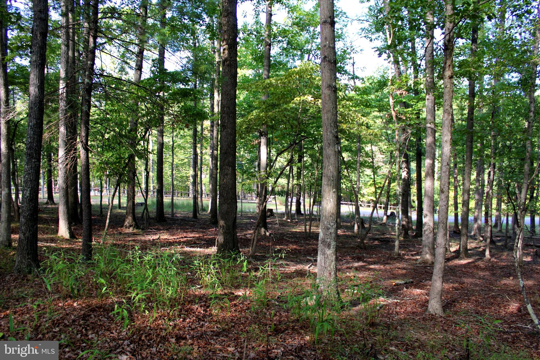 THE CROSSING AT GREAT CACAPON - Land