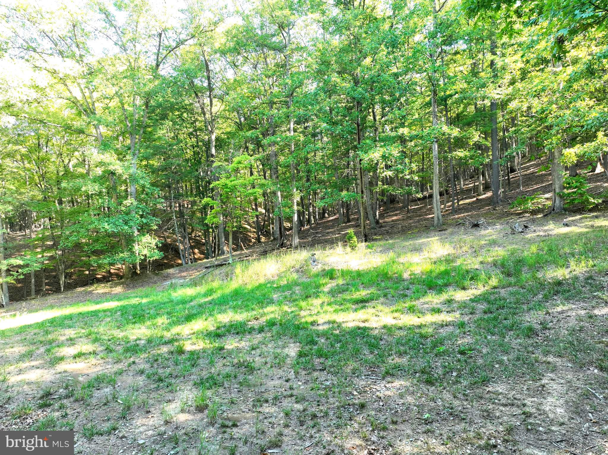 THE CROSSING AT GREAT CACAPON - Land